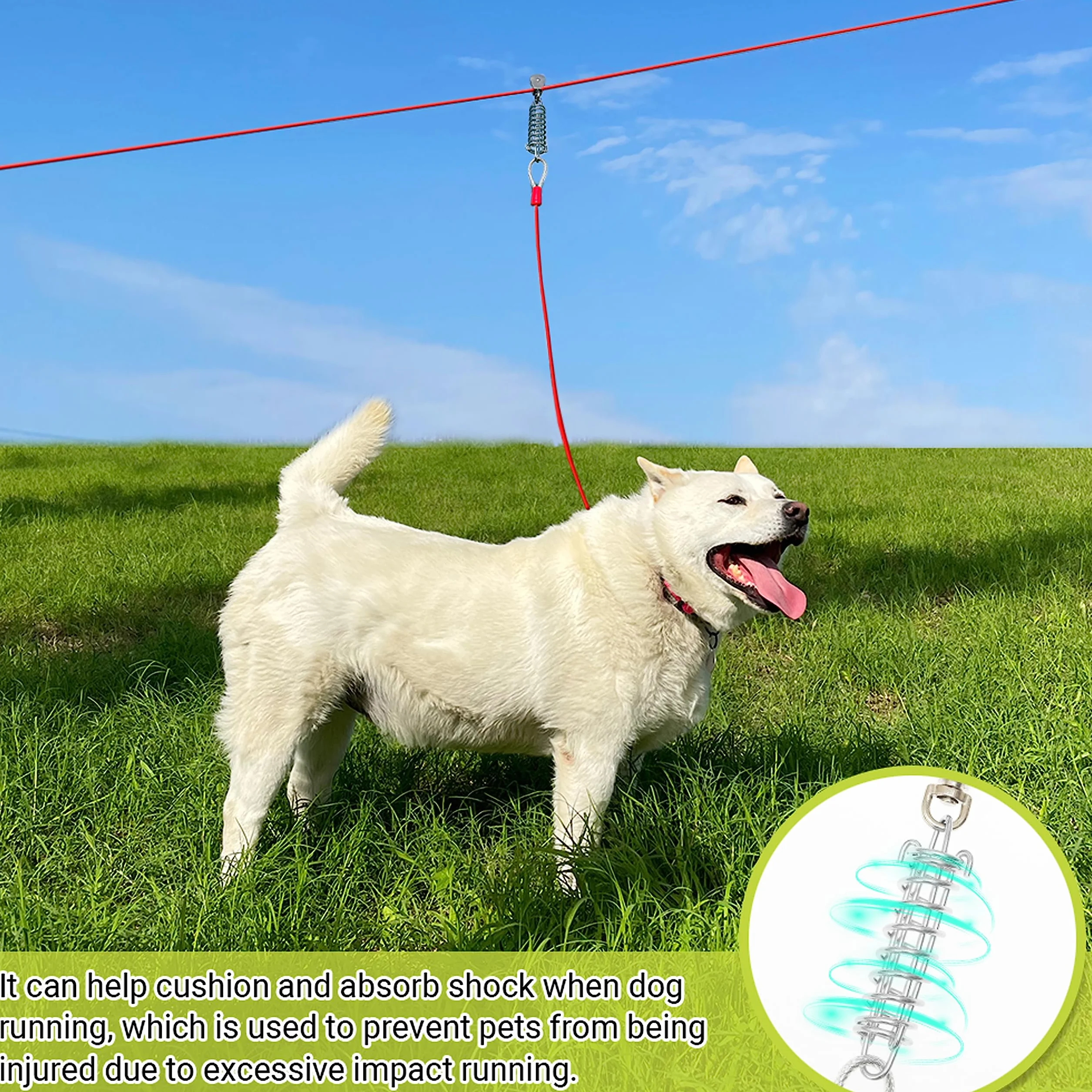 Câble d'attache pour chien 30,5 m long avec câble de course 3 m anti-mastication robuste extérieur