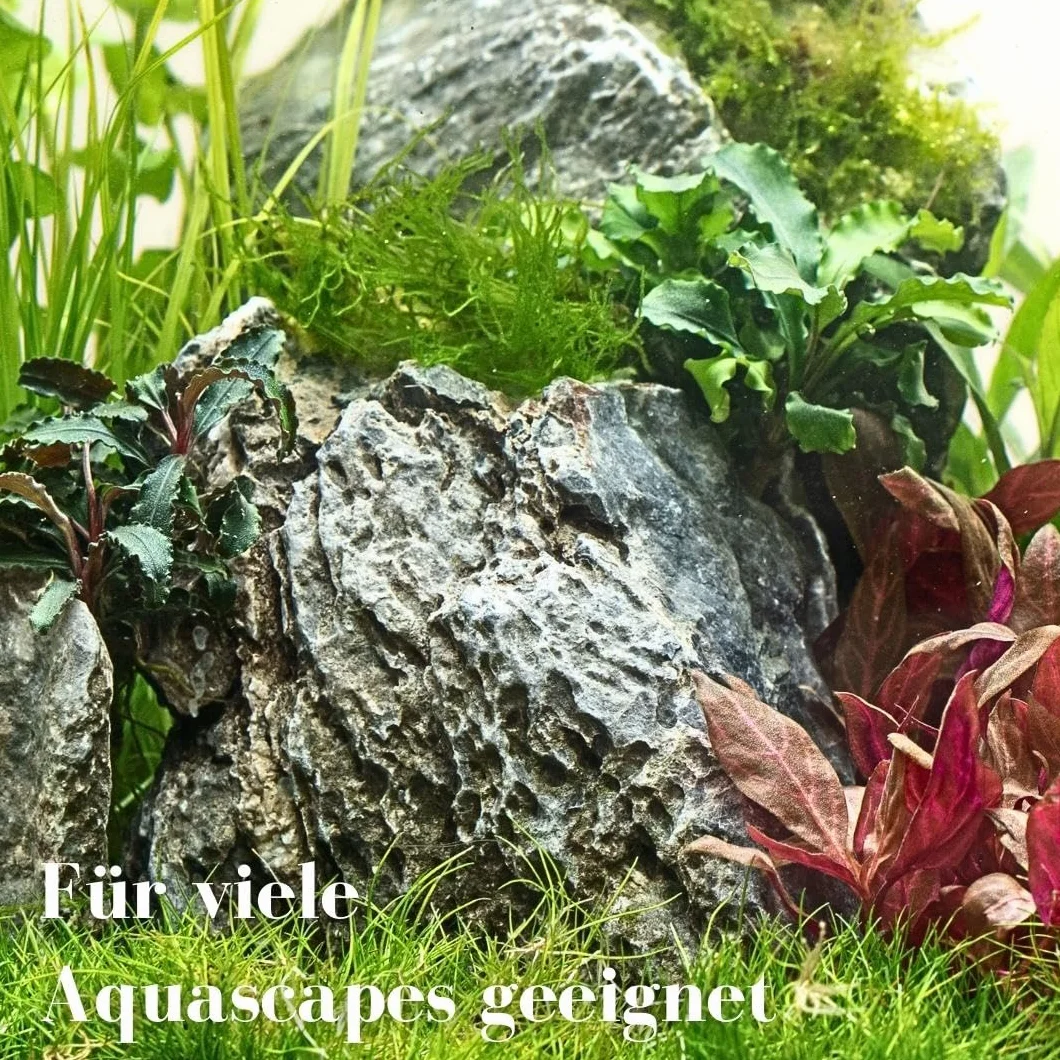 AquaOne Pierres d'aquarium - Mini paysage - Pierres naturelles Seiryu - 1 pièce de 0,9 à 2,0 kg - Pierre d'aquascaping pour réservoir - Décoration de roche - Panneau arrière - Décoration - Gris