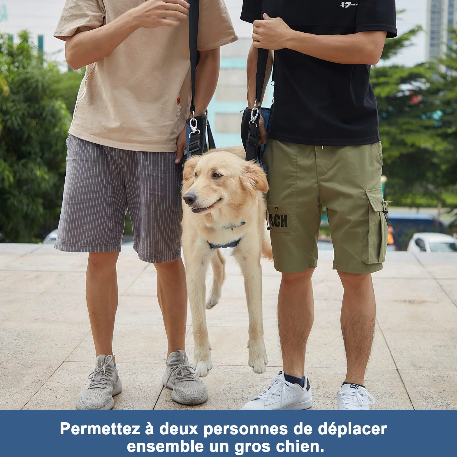 COODEO Porteur pour Chien Sling, Sac à Dos d'urgence pour Soutien des Pattes, Harnais de Levage pour Chiens âgés arthrite (XL, Bleu)