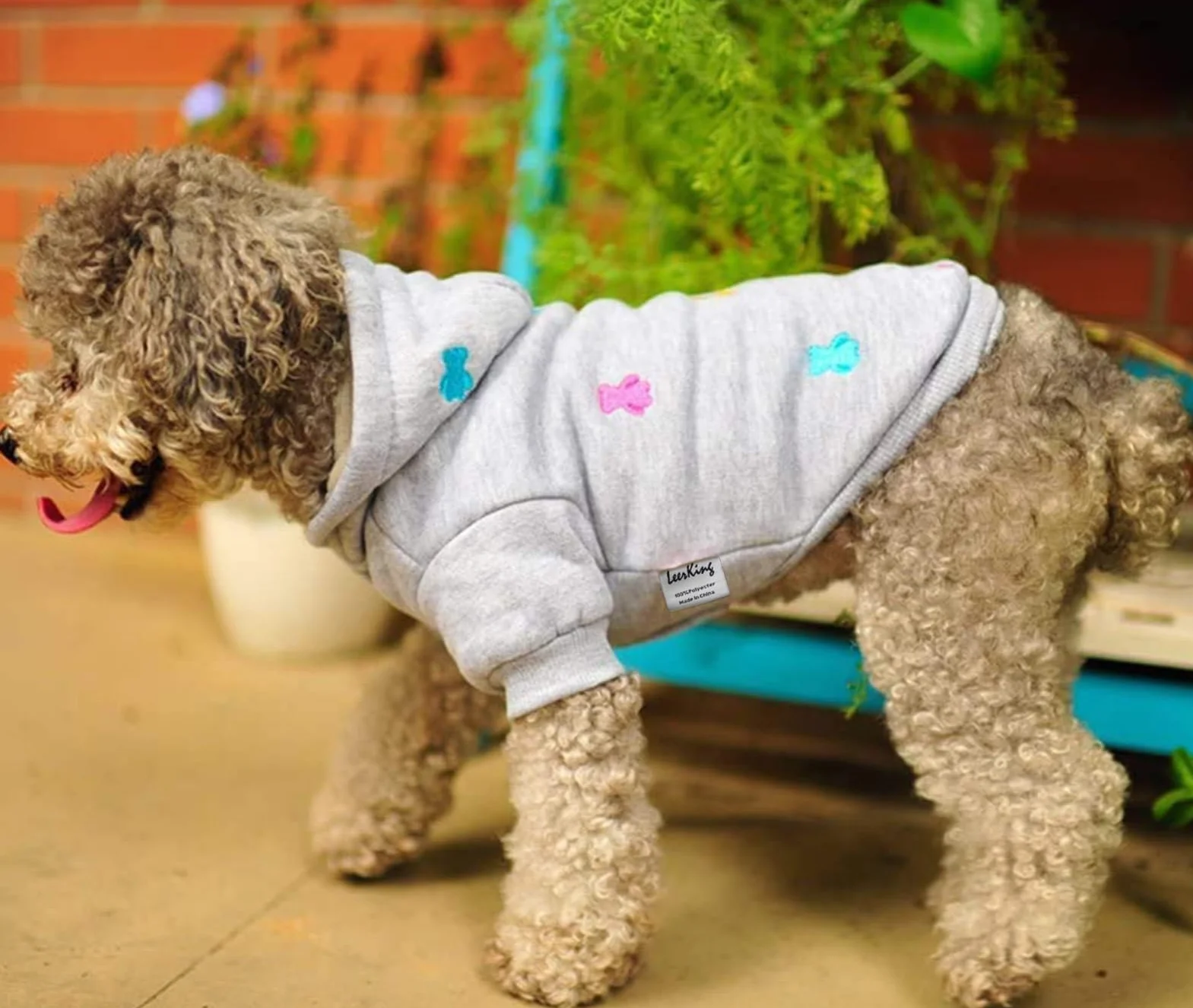 LeerKing Sweats à Capuche Chaud pour Chien en Coton Gris XXS