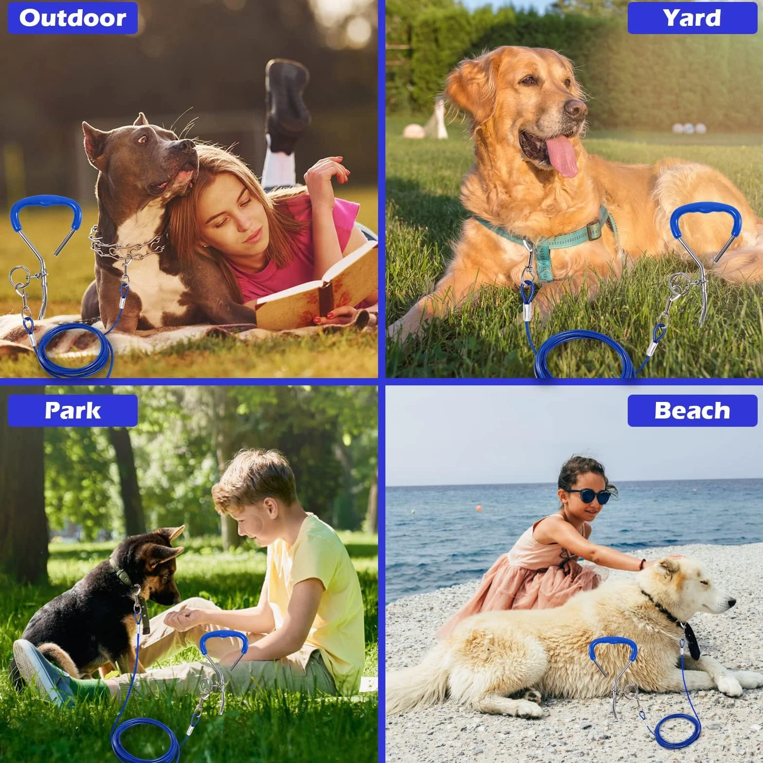 Ancrage en spirale bleu 40 cm câble acier 5 mm x 3 m ancrage sol visser force traction 80 kg pour chien