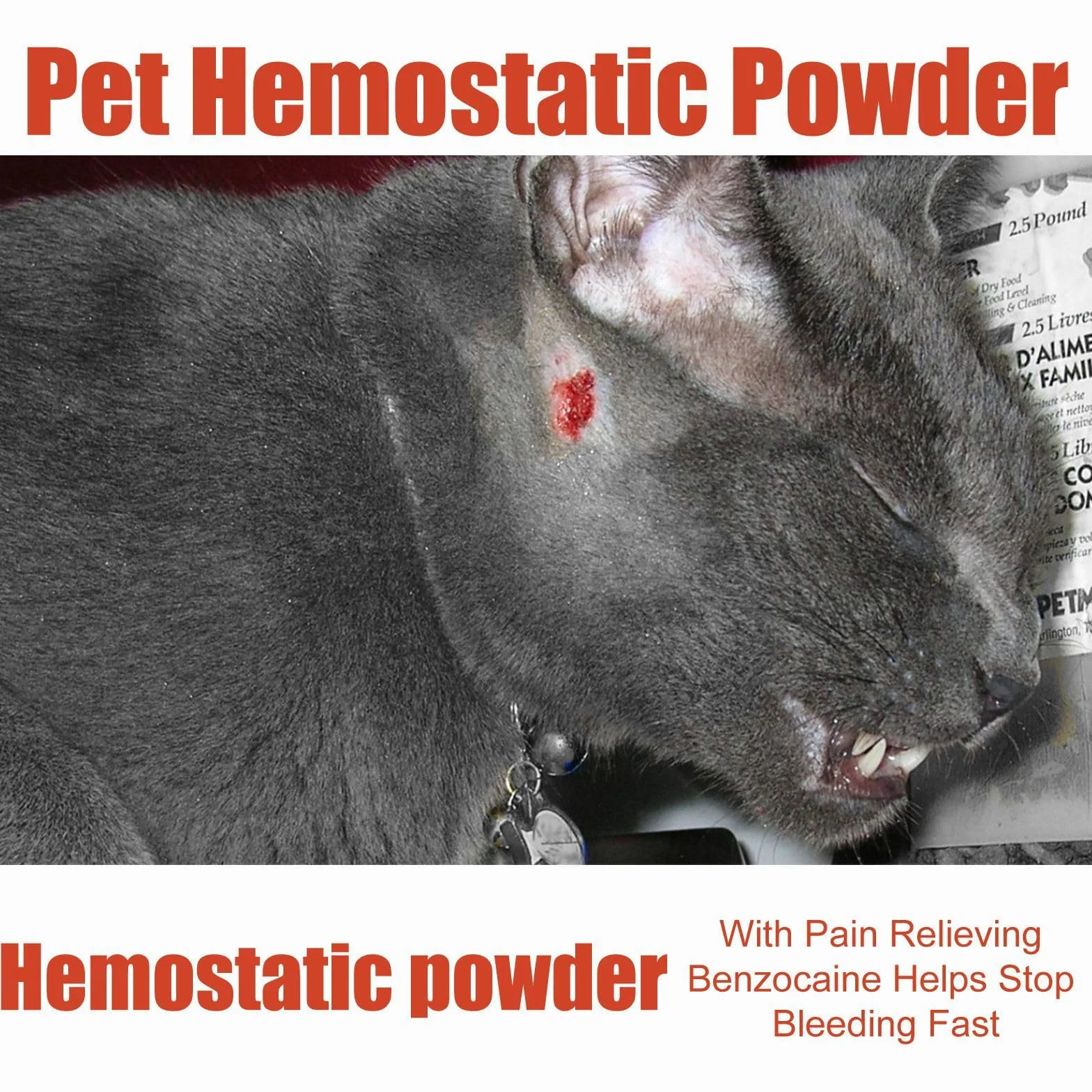 Poudre Hémostatique pour Chiens, Chats, Lapins, Cochons d'Inde, Oiseaux - Arrête Saignement des Pattes