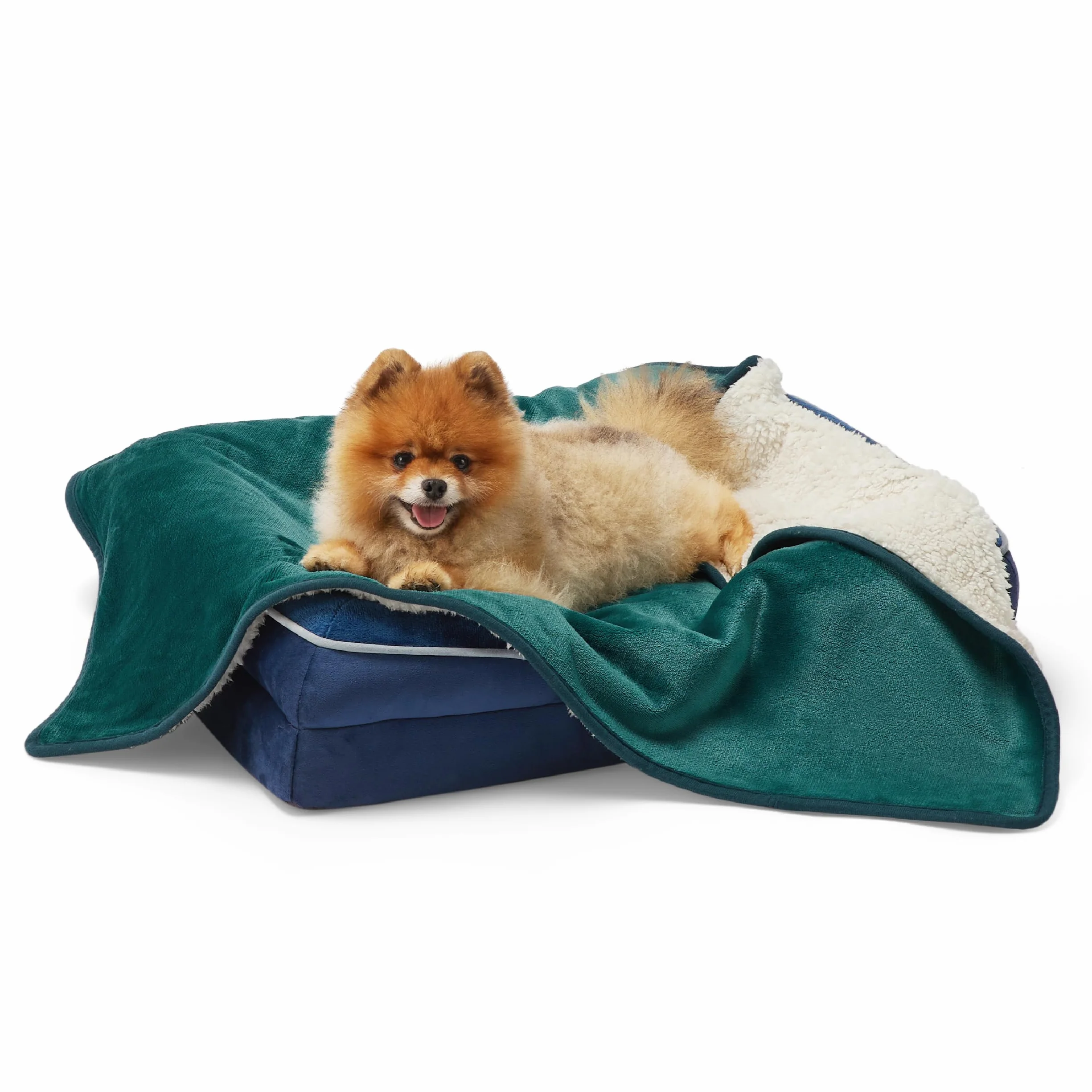 LE SURE Couverture Imperméable pour Petits Chiens 80x60cm Lavable Protection Canapé Vert Foncé