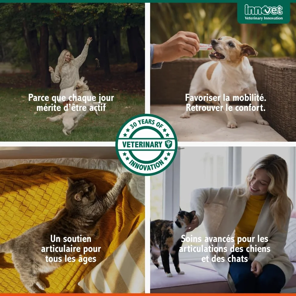 Innovet Glupacur Complément Alimentaire Articulations Chiens Chats Arthrose Mobilité Palmitoylglucosamine Curcumine Vitamine E 30 gélules