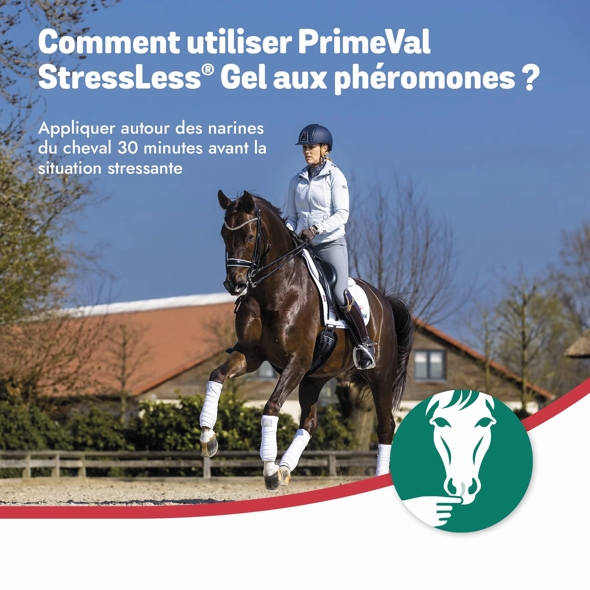 PRIMEVAL StressLess – Gel apaisant aux phéromones pour Cheval – Aliment complémentaire Naturel Anti-Stress à Base de phéromone apaisante Maternelle de Jument – sans Somnolence – 10 sachets de 5 ML