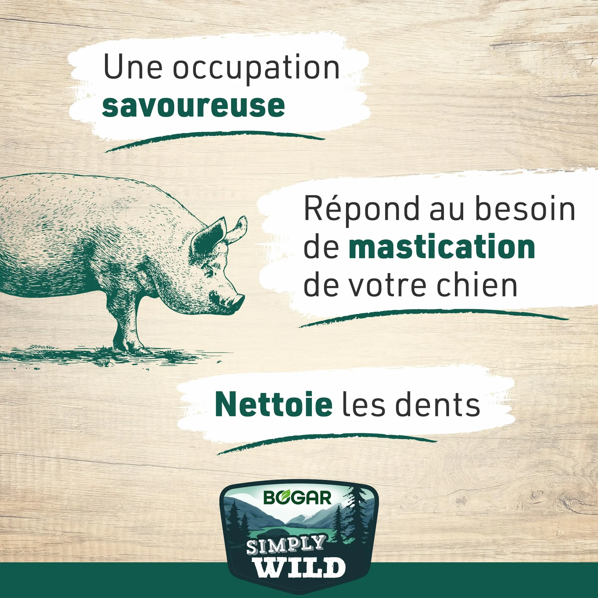 Bogar Friandises pour Chien Méga Os de Jambon 100% Porc Séché Aide à la Mastication