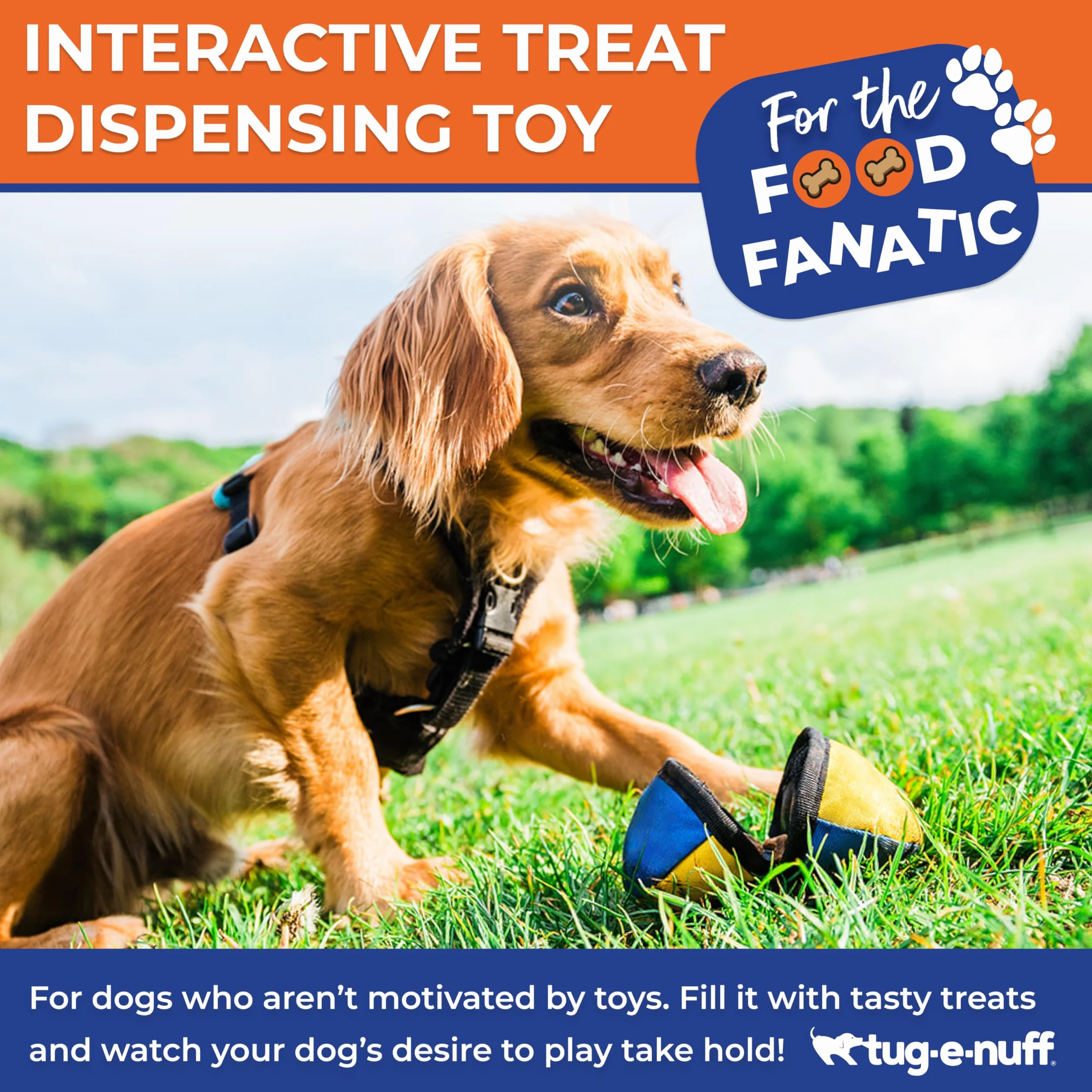Tug-E-Nuff The Clam Distributeur de friandises pour Chien Compact 11,4 cm