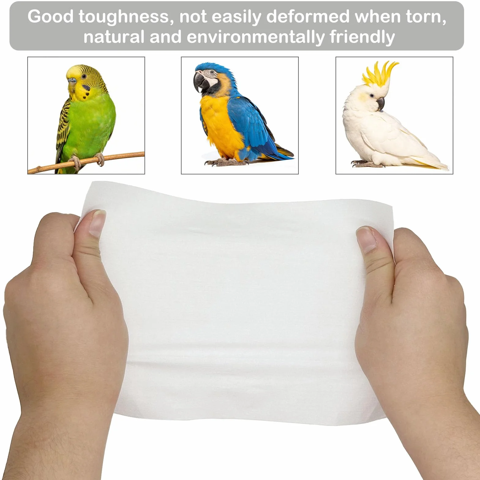 Papier Absorbant pour Oiseaux, Lot de 100 Feuilles Jetables Prédécoupées, Non Tissé, 30 x 40cm