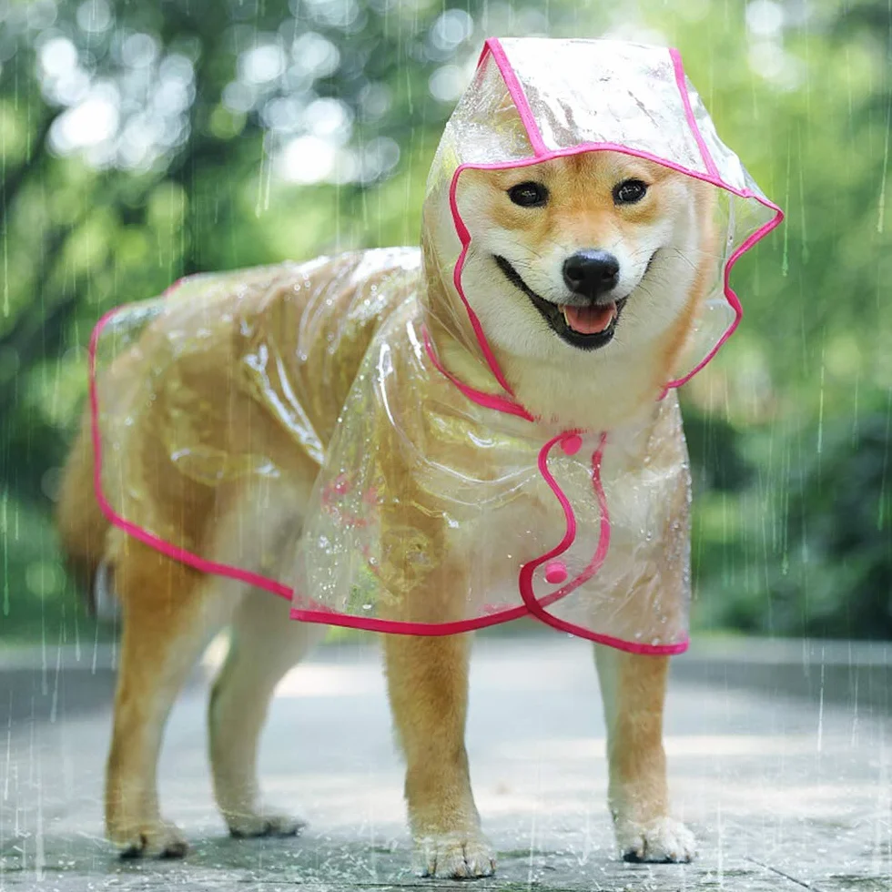 KoKoBin Manteau imperméable pour chiens et chats petite taille PVC transparent capuche réglable