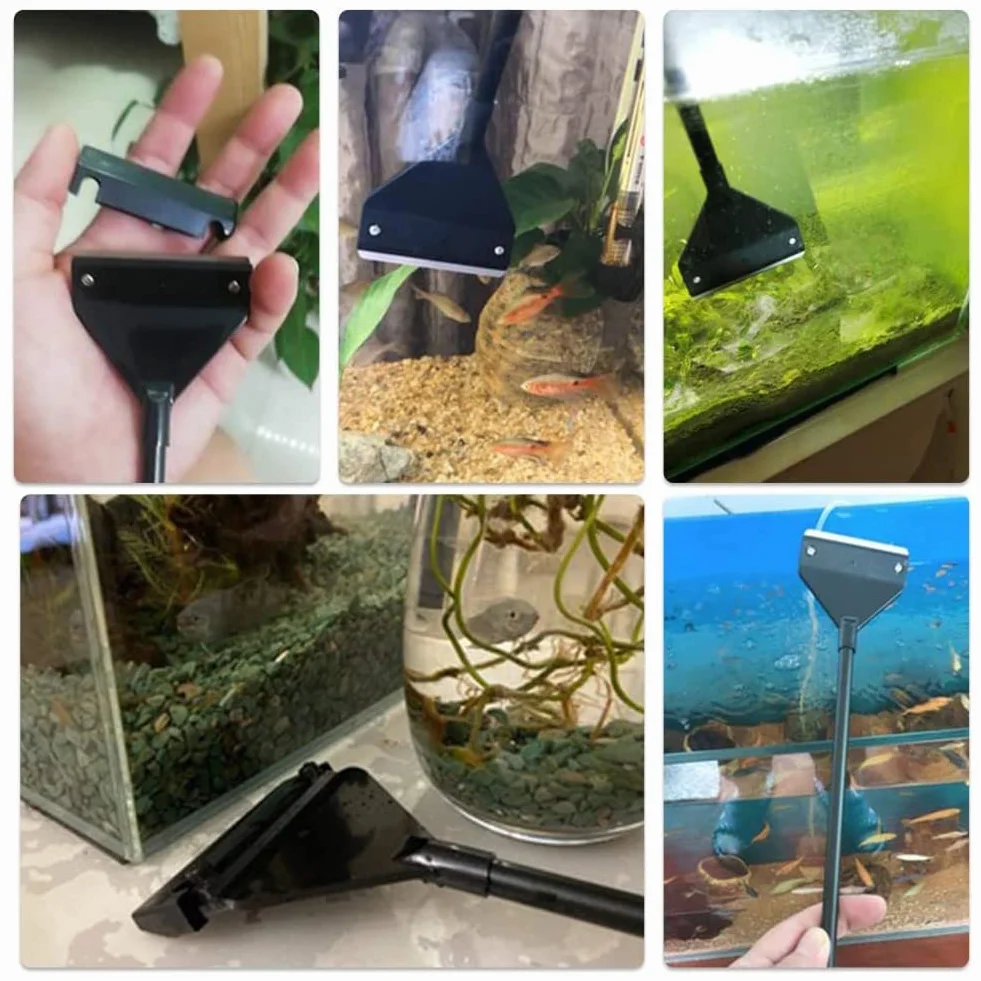 Grattoir À Algues Aquarium avec Lame Tournevis Housse Protection Kiuiom