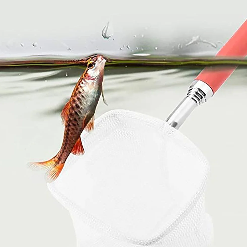 Petit filet télescopique pour poissons d'aquarium 18-53 cm Betta rouge