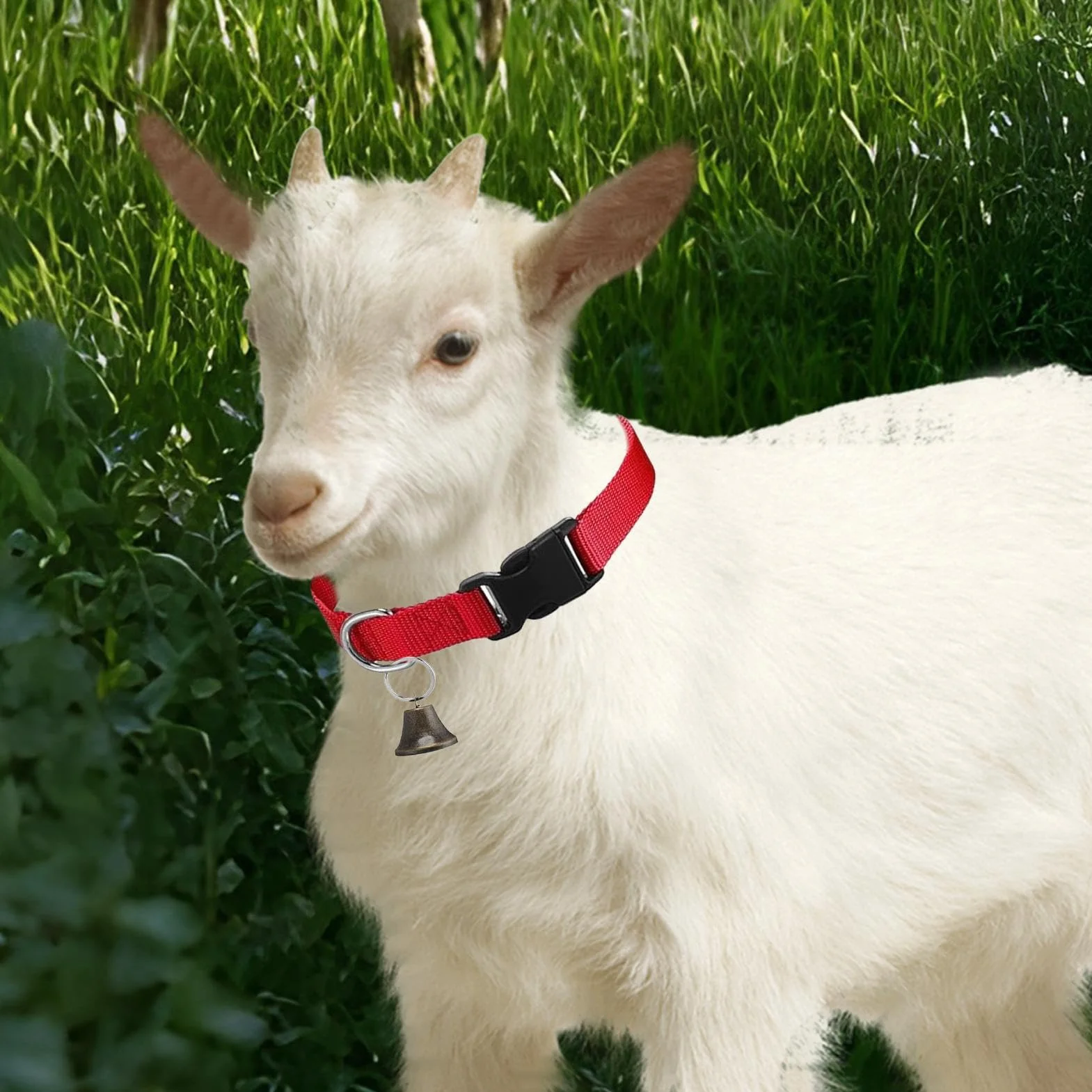 Collier de Chèvre Réglable en Nylon pour Mouton, Cloche d'Alpage Sonore Anti-Perdition pour Vaches, Chèvres