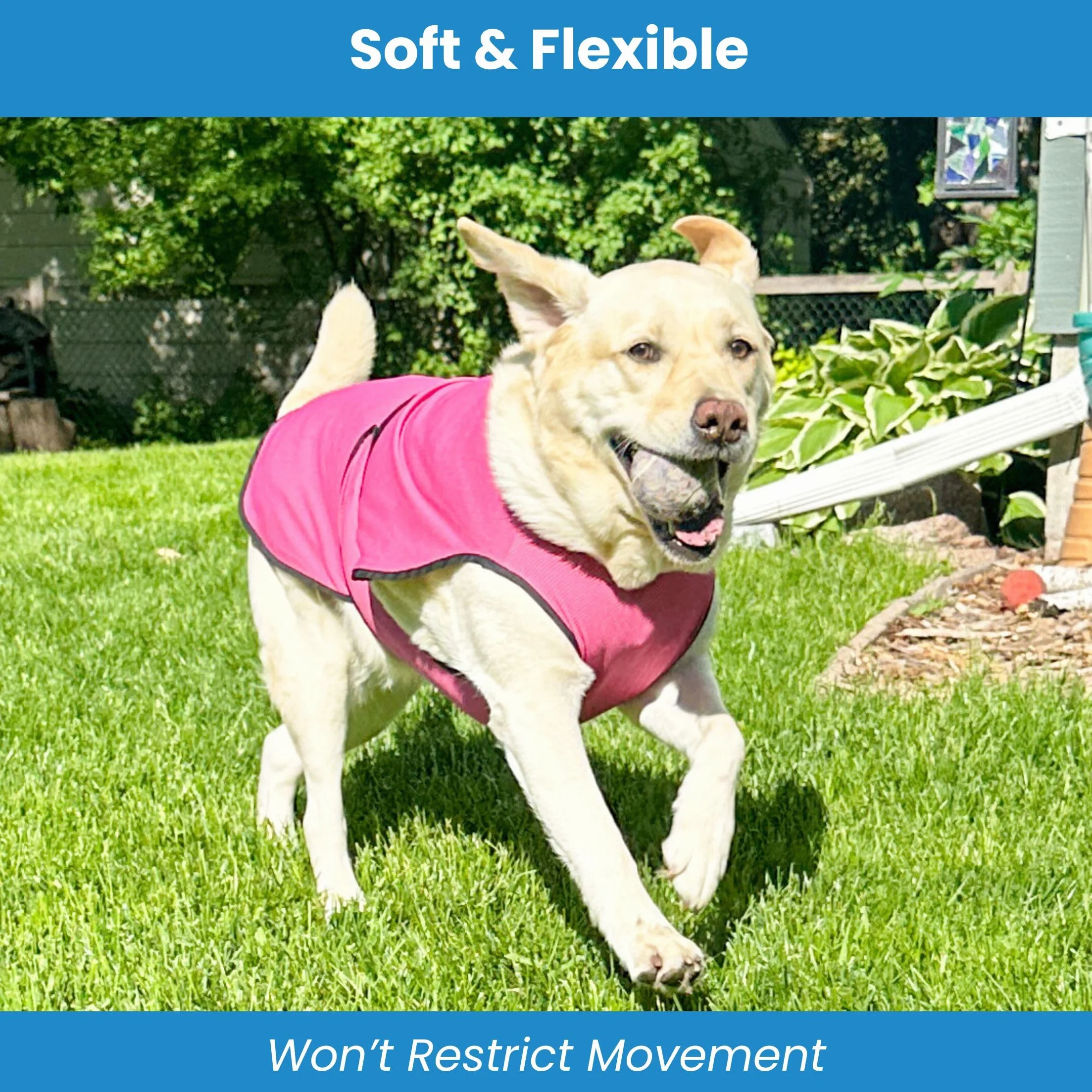 Gilet de Refroidissement pour Chien léger avec Technologie de Microfibre évaporative et Anti-UV, Taille pour Chiens Petits, Moyens et Grands, (M, Rose Rouge)