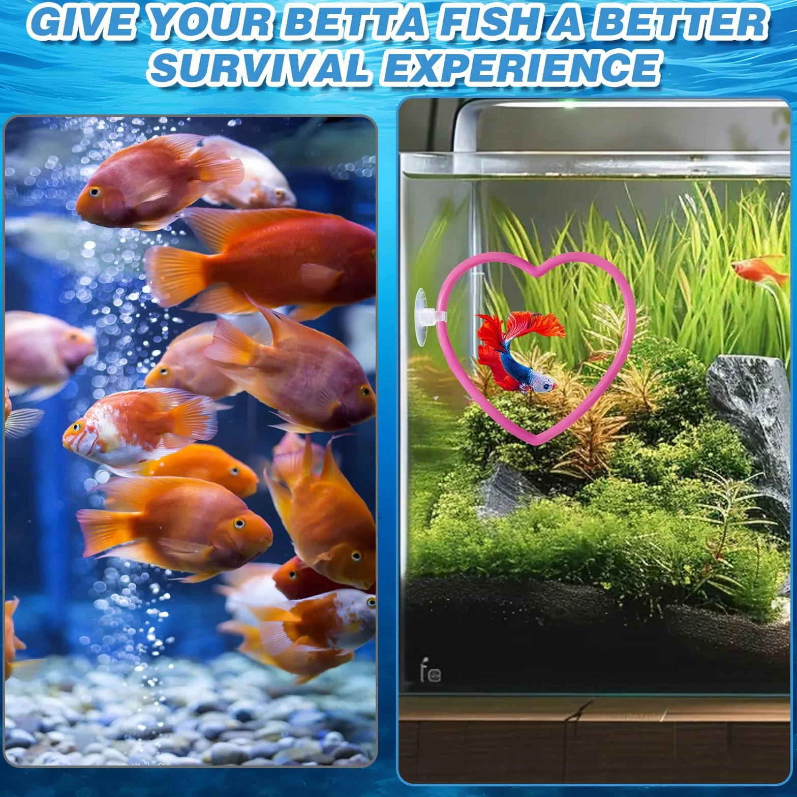 Aquarium Poissons Betta Accessoires Décoration Cœur Roses Résistant
