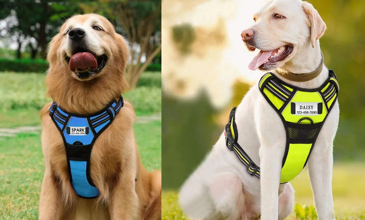 Harnais personnalisé pour chien sans traction avec nom et téléphone, résistant anti-traction anti-étouffement