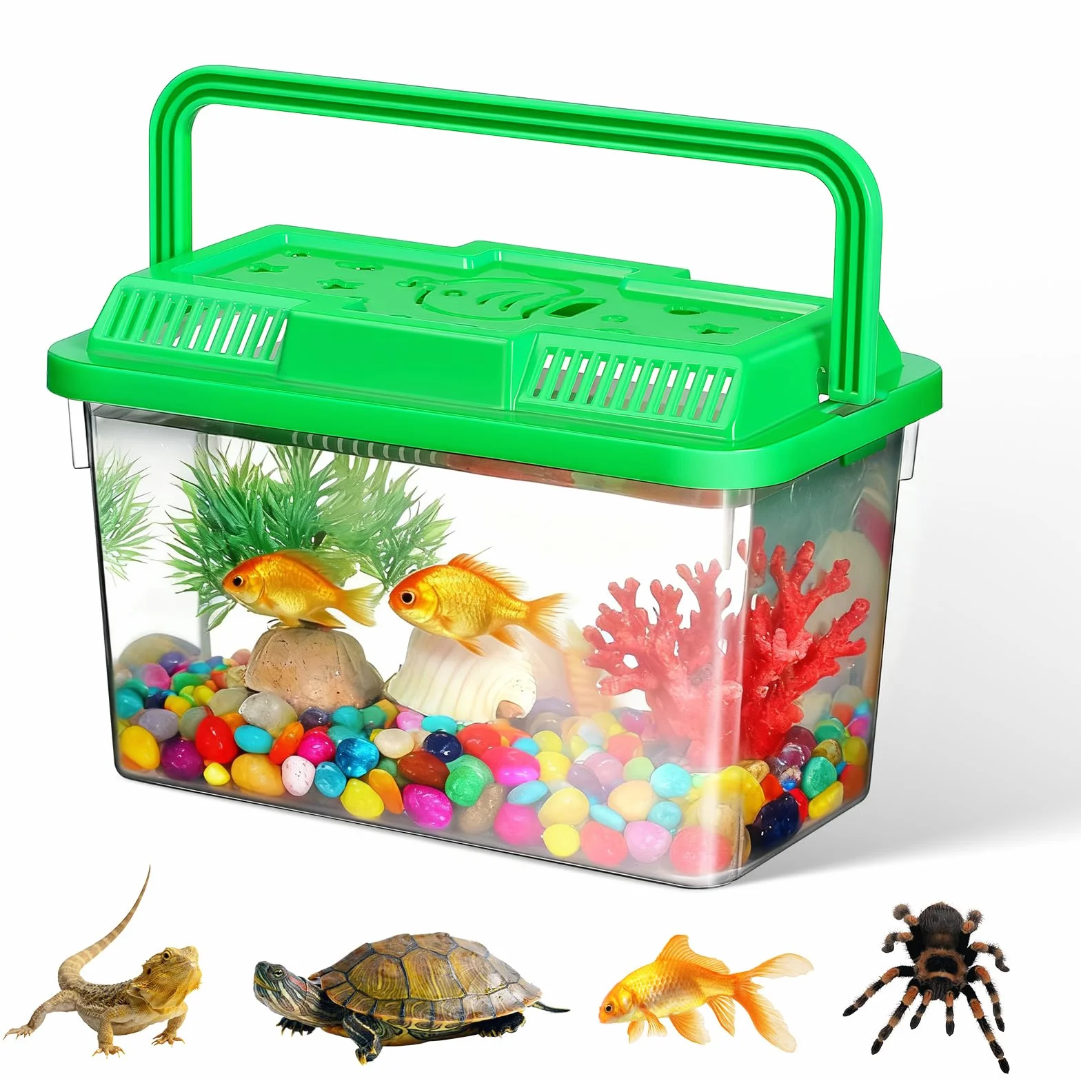 Transporteur Portable pour Tortues et Poissons avec Poignée, Aquarium en ABS Transparent