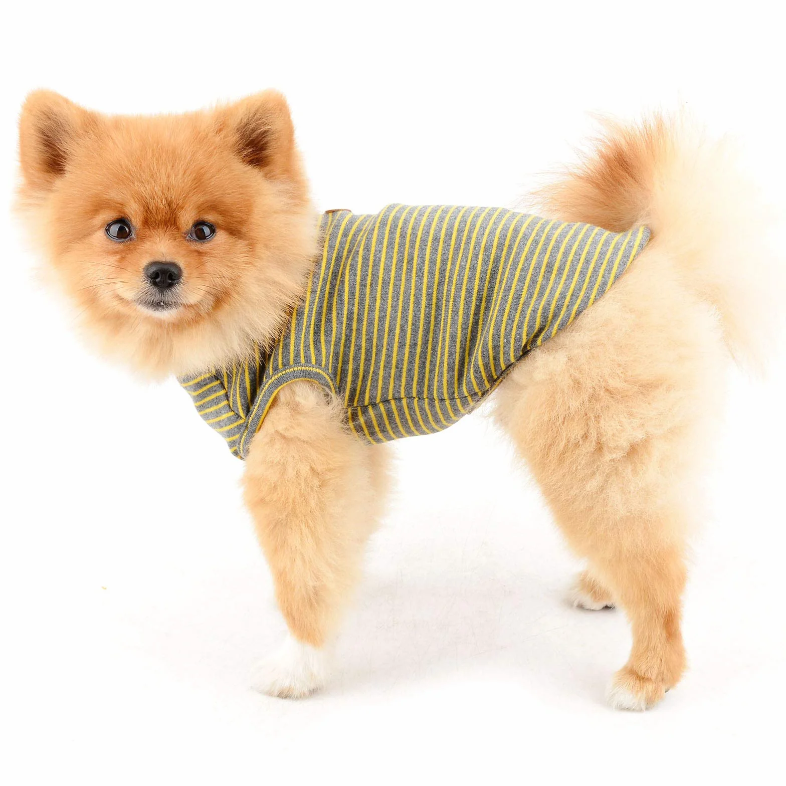 PAIDEFUL Chemise britannique rayée pour petit chien, gilet pour chat, T-shirt en coton doux pour animal de compagnie