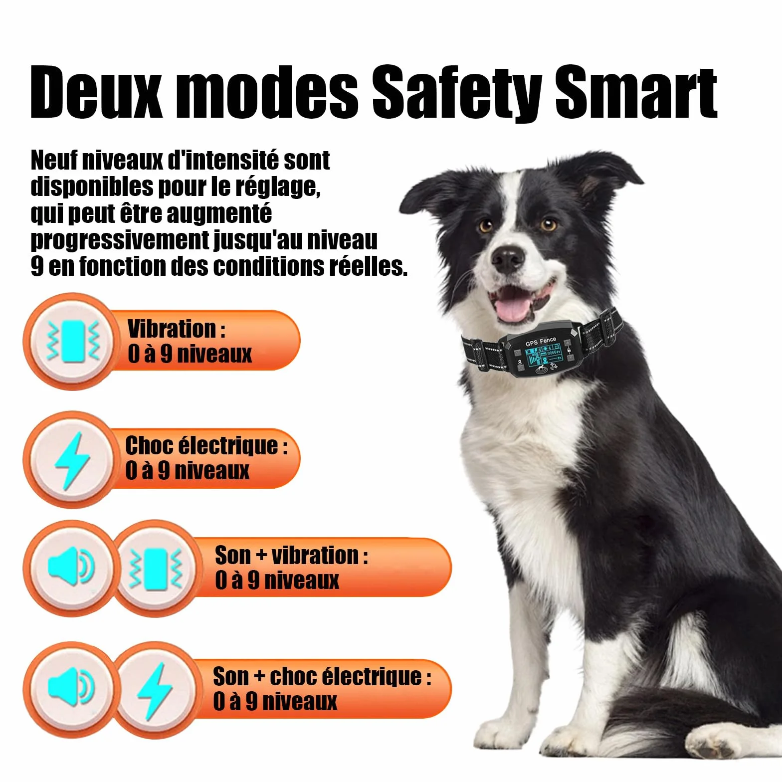 Billg Collier de Dressage pour Chien sans Fil GPS Résistant à L'Eau, 3 Modes Clôture Anti-Fugue, Portée 30-2000m, 9 Niveaux de Sensibilité