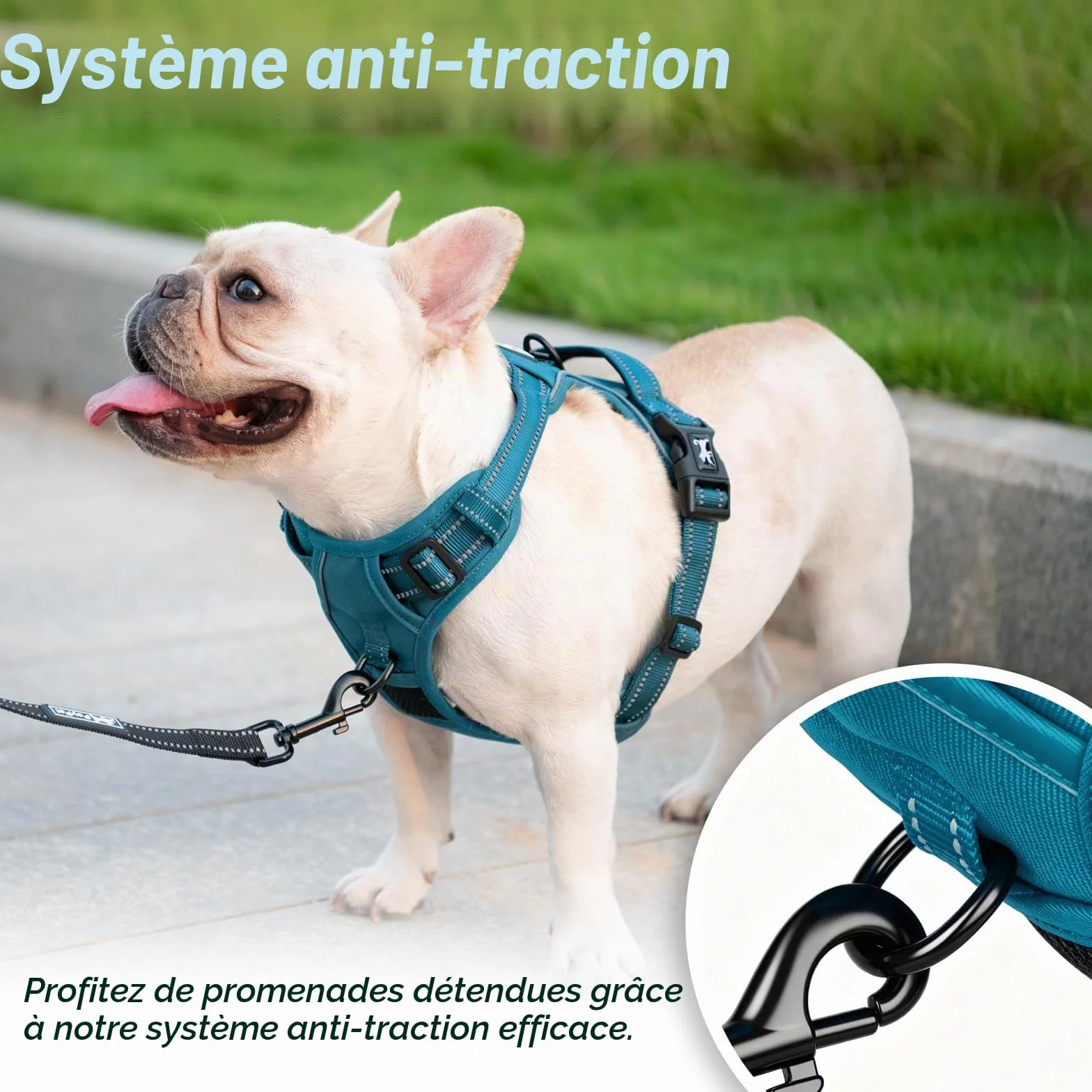 Poypet Harnais pour Chien Réfléchissant Gilet Réglable Doux Poignée Easy Control Bleu Sarcelle Taille S