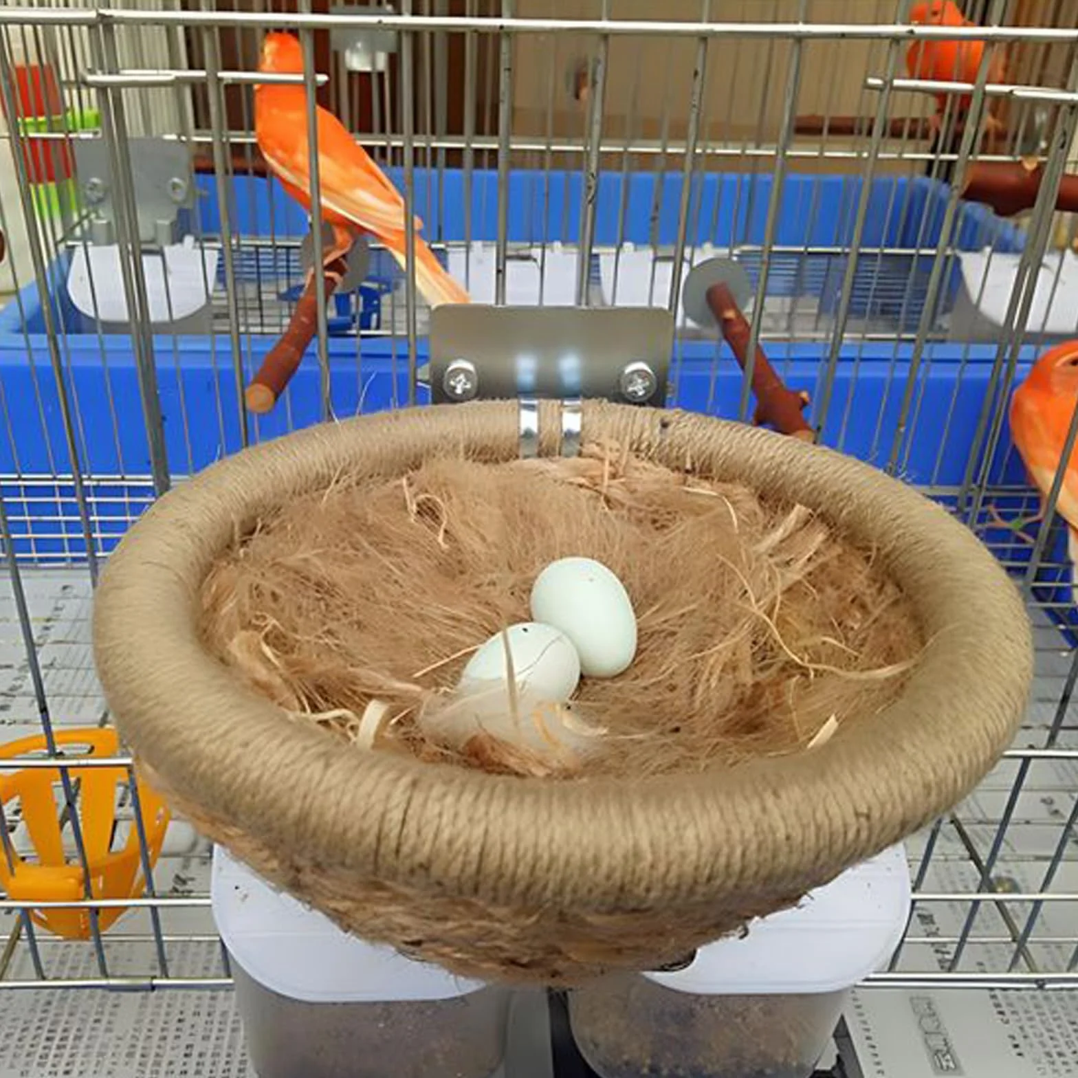Nid Perruche Canaris en Jute Soie Paille Coton pour Petits Oiseaux Animaux Perroquets Pinsons