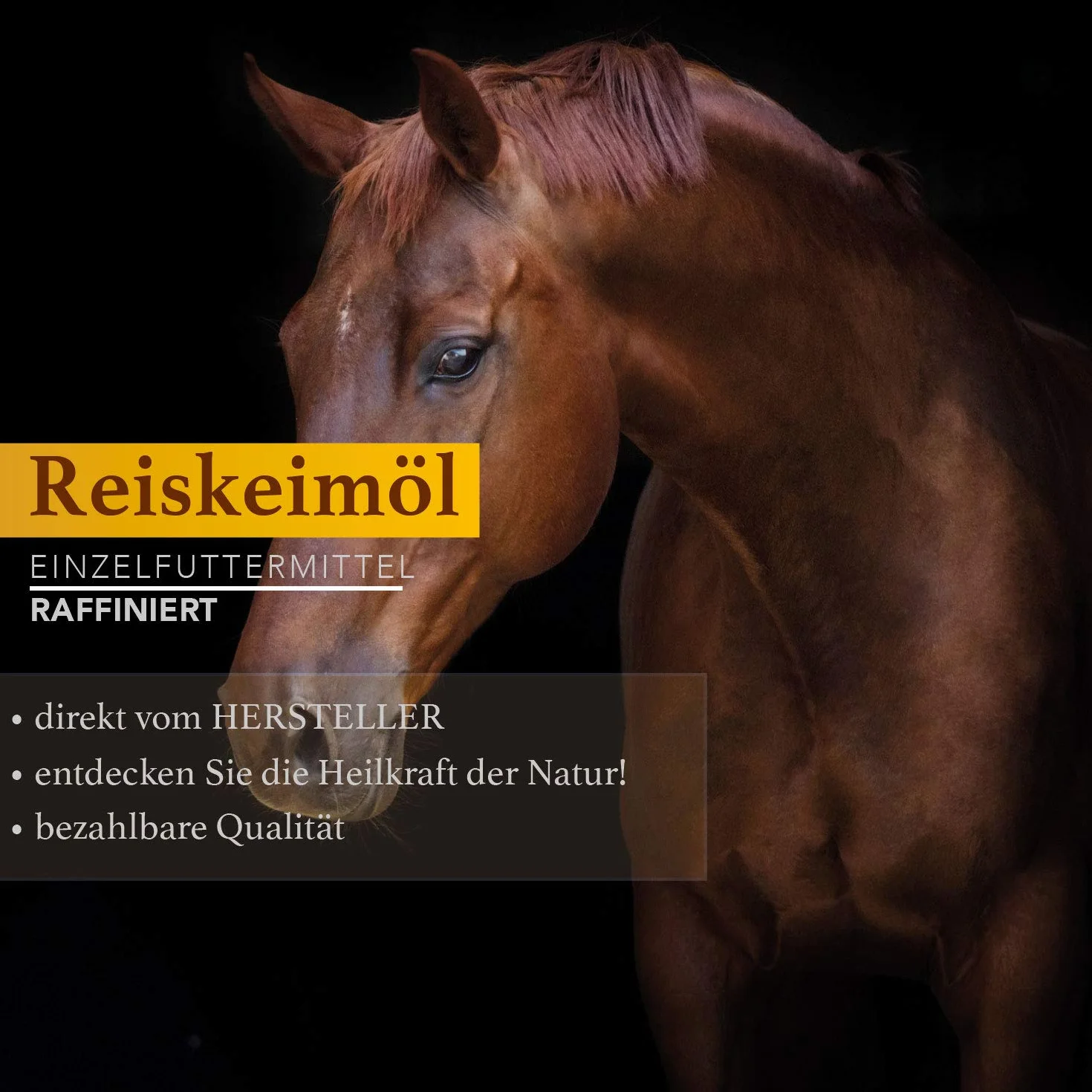 Naturzade Huile de germe de riz pour cheval Bidon 5 l