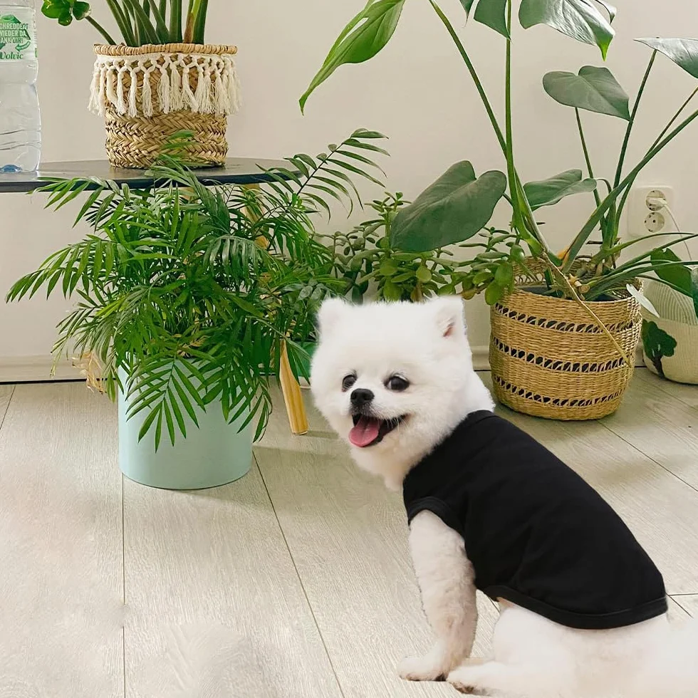 T-Shirt d'été pour Chien en Coton Doux et Respirant sans Manches, 3 Pièces, pour Petits Chiens et Chats (Noir, Blanc, Gris, Taille M)