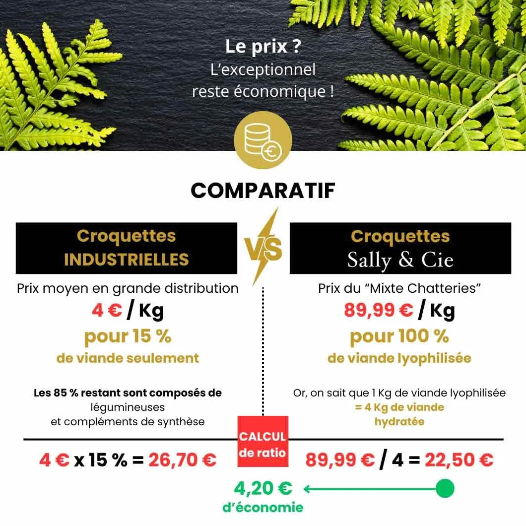 Mixte Barf lyophilisé spécial Chaton