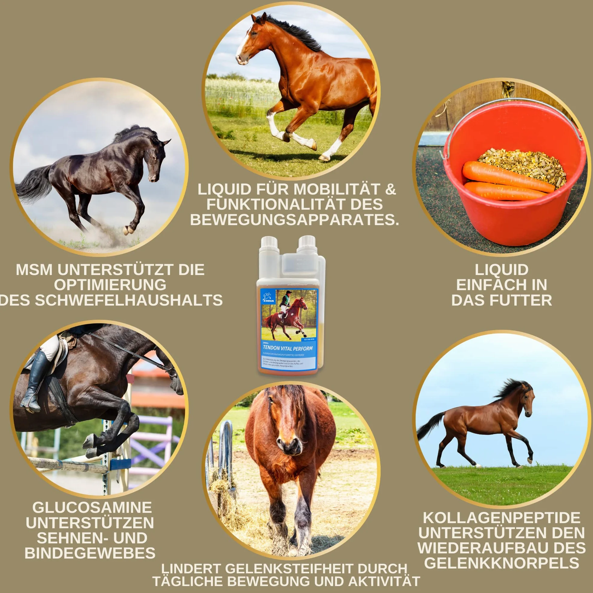 Cheval 1L Liquid Glucosamine & Chondroïtine Haute Dose avec MSM Complexe articulaire