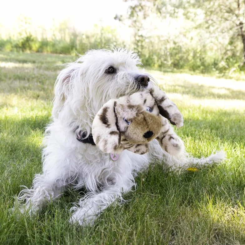 KONG Toughz Jouet en peluche durable pour chien – Jouet à mâcher doux durable, sûr et interactif pour les mâcheurs agressifs (chiot)