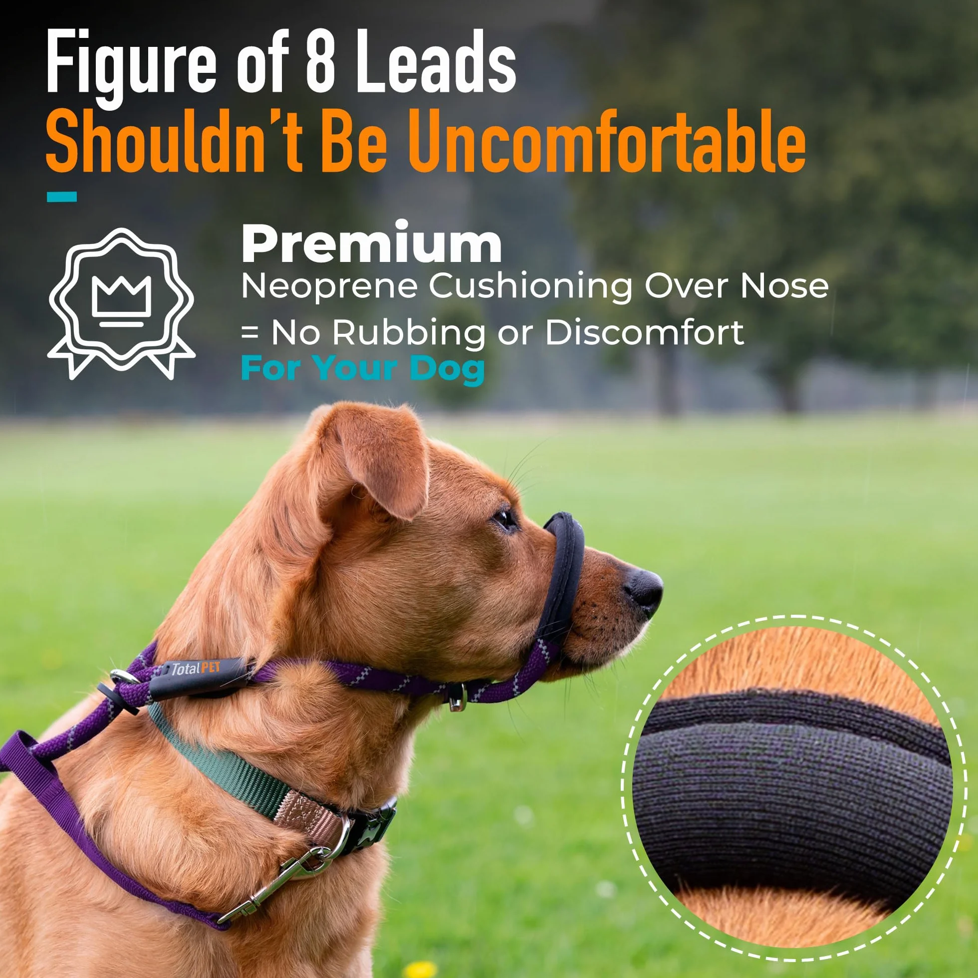 Laisse pour chien violette en figure de 8 Anti-tirage coulissante en corde avec support nasal rembourré Moyen/Grand