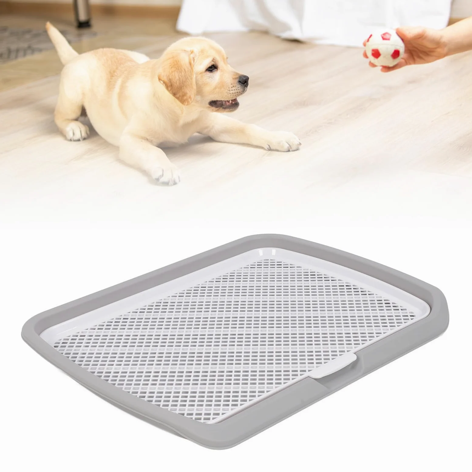 Plateau d'apprentissage de la propreté pour Chiot, Plateau de Support Amovible et Lavable en Maille pour Pipi pour Chien, Support de Tapis D'entraînement pour Chiot, Protection