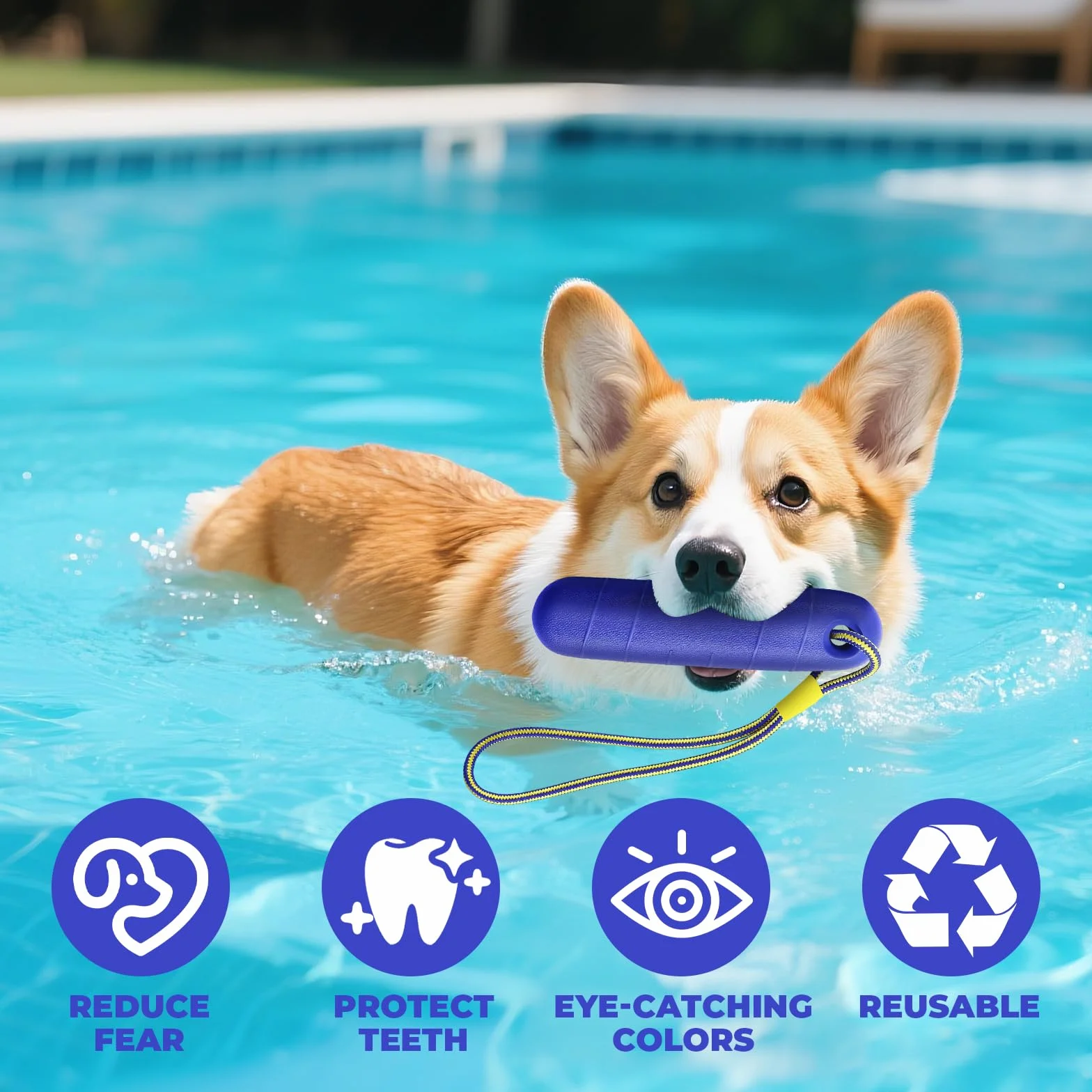 Jouet Interactif Chien avec Corde en Nylon, Ballon Flottant Increvable pour Piscine Extérieur