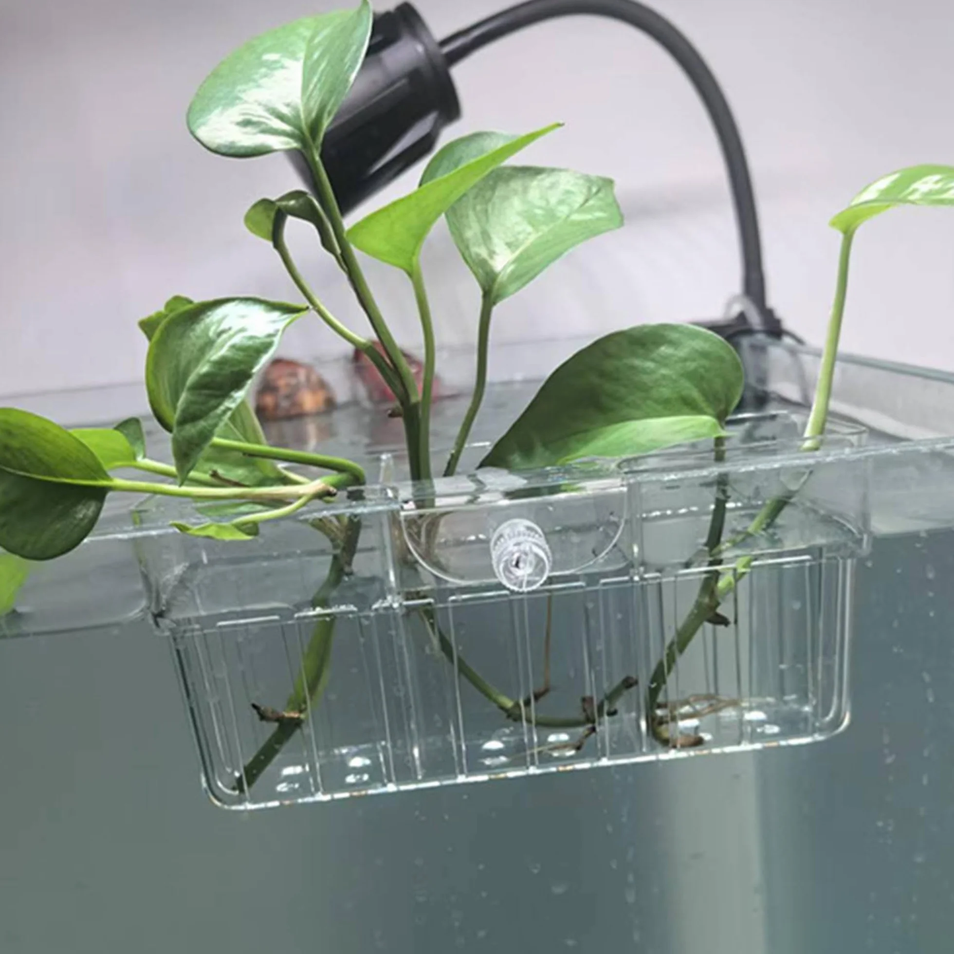 Lot de 2 supports de plantes d'aquarium à 3 cellules, support suspendu pour aquarium, décoration