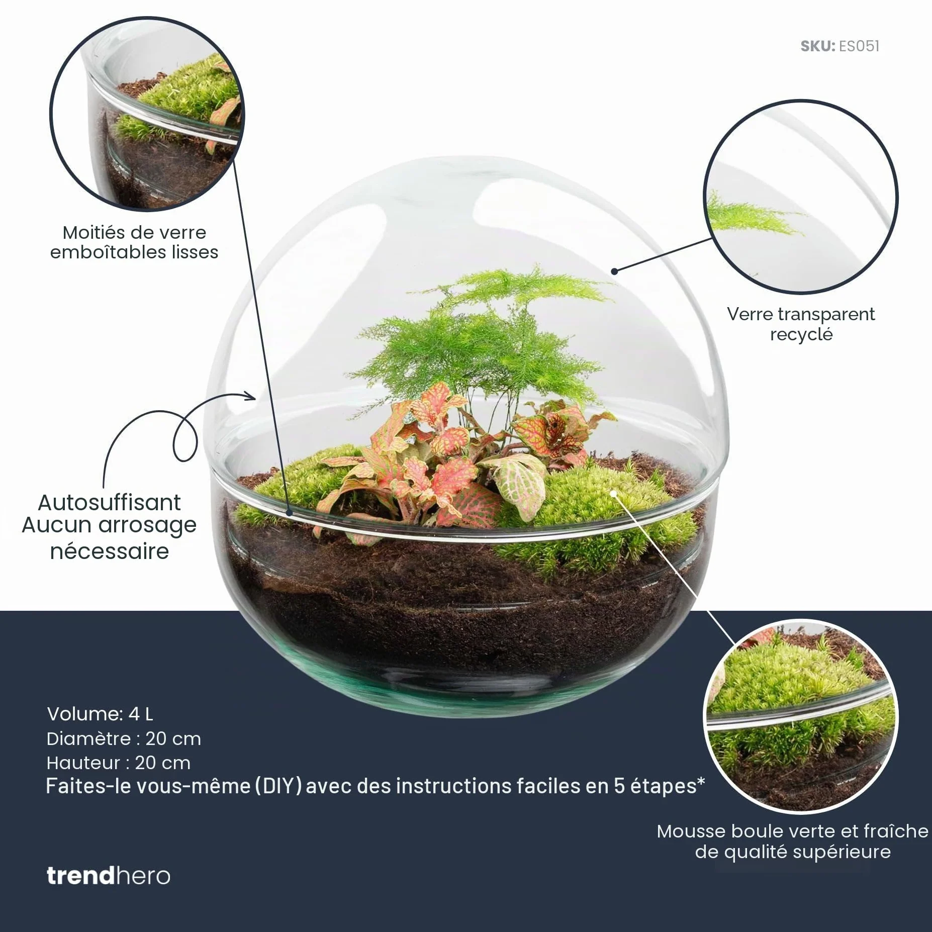 Kit DIY Terrarium Dôme Écosystème avec Plantes 20 cm