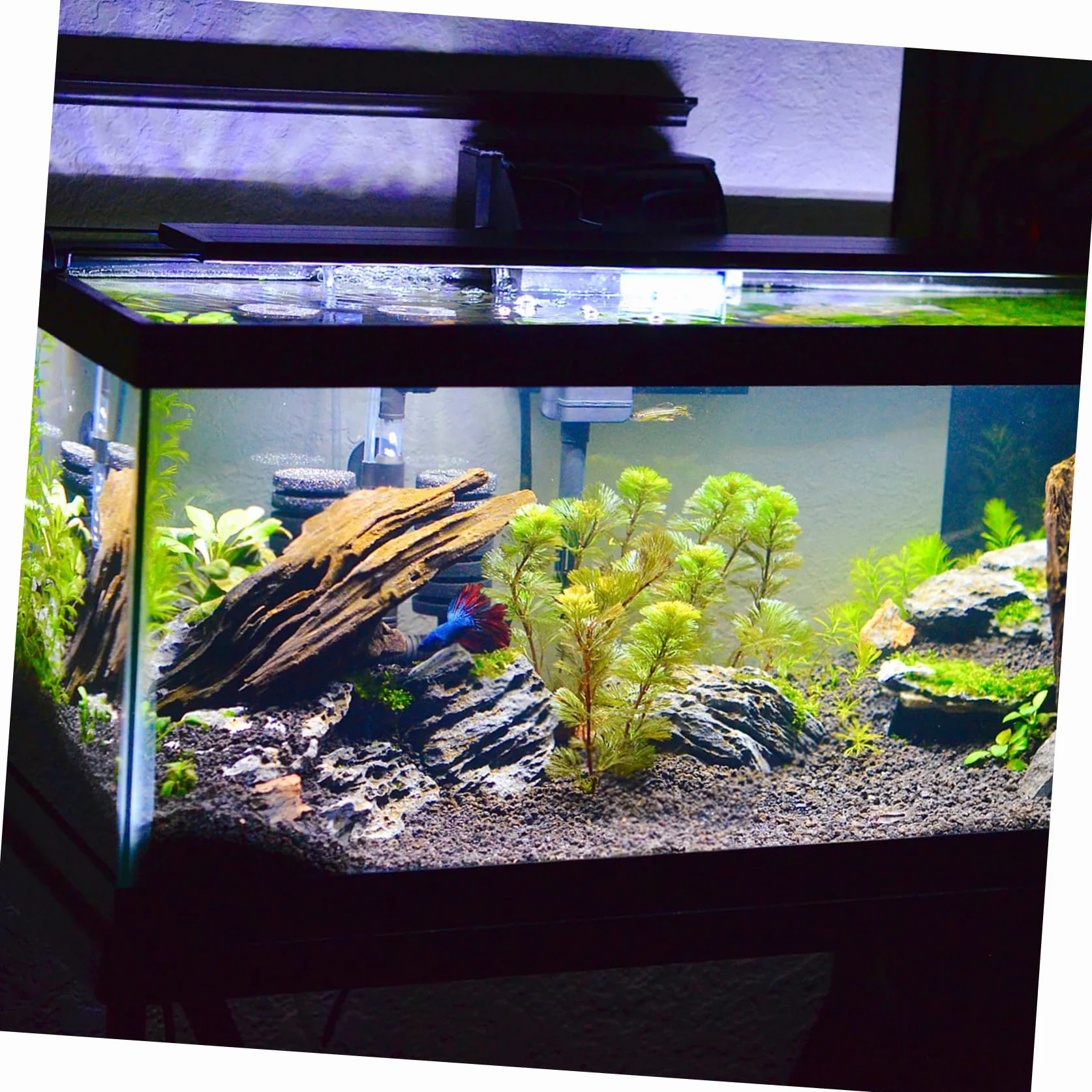 SUPVOX Tapis de Fond pour Aquarium 40x30x0.60cm Tapis Antidérapant en Mousse Épaisse Isolation Thermique Nivellement Réservoir Poissons