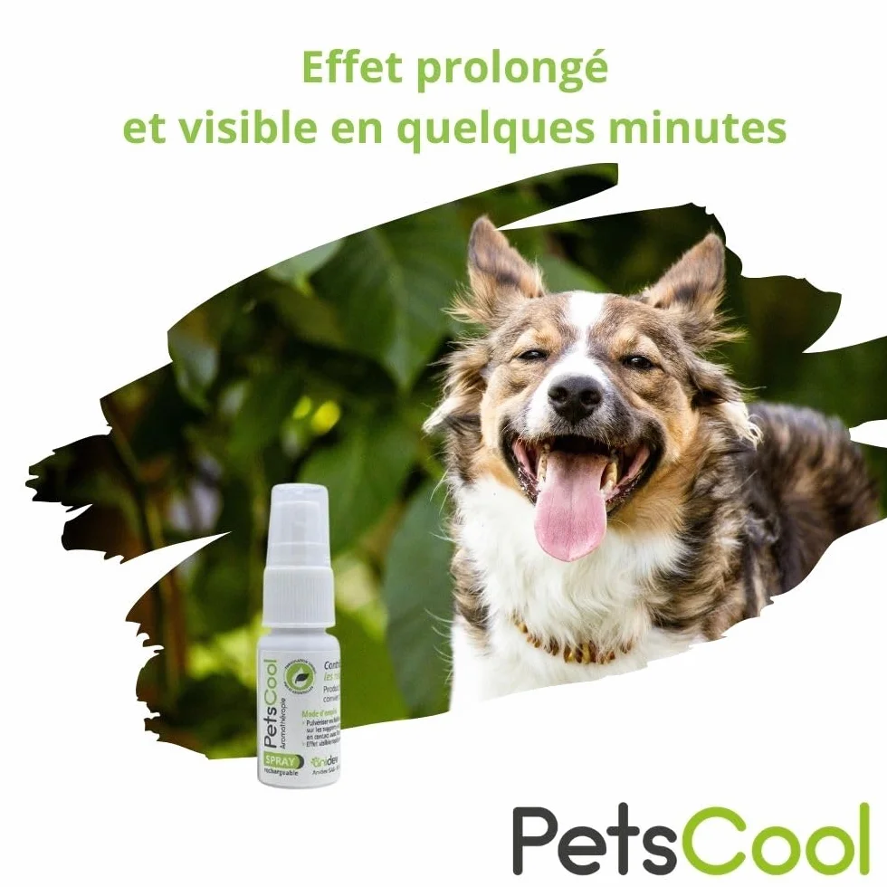Anidev PetsCool Spray apaisant 15 ML - Anti Stress Chien Chat NAC - Huiles essentielles valériane vétiver Sauge Basilic - Action Rapide Inhalation Multi espèces