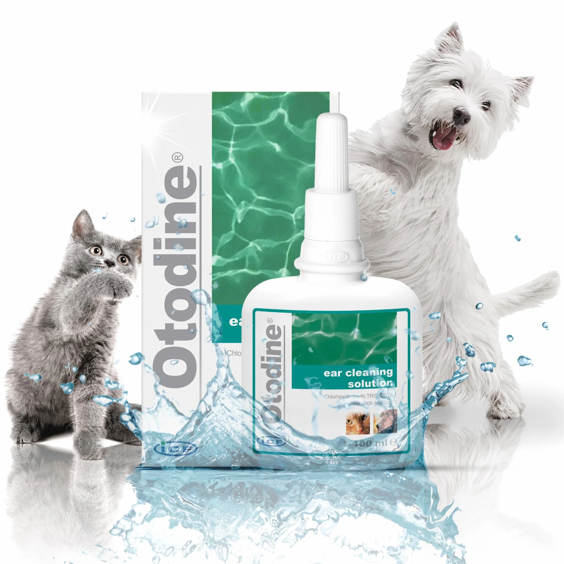 ICF Otodine Nettoyant Oreille Chien Chat 100ml