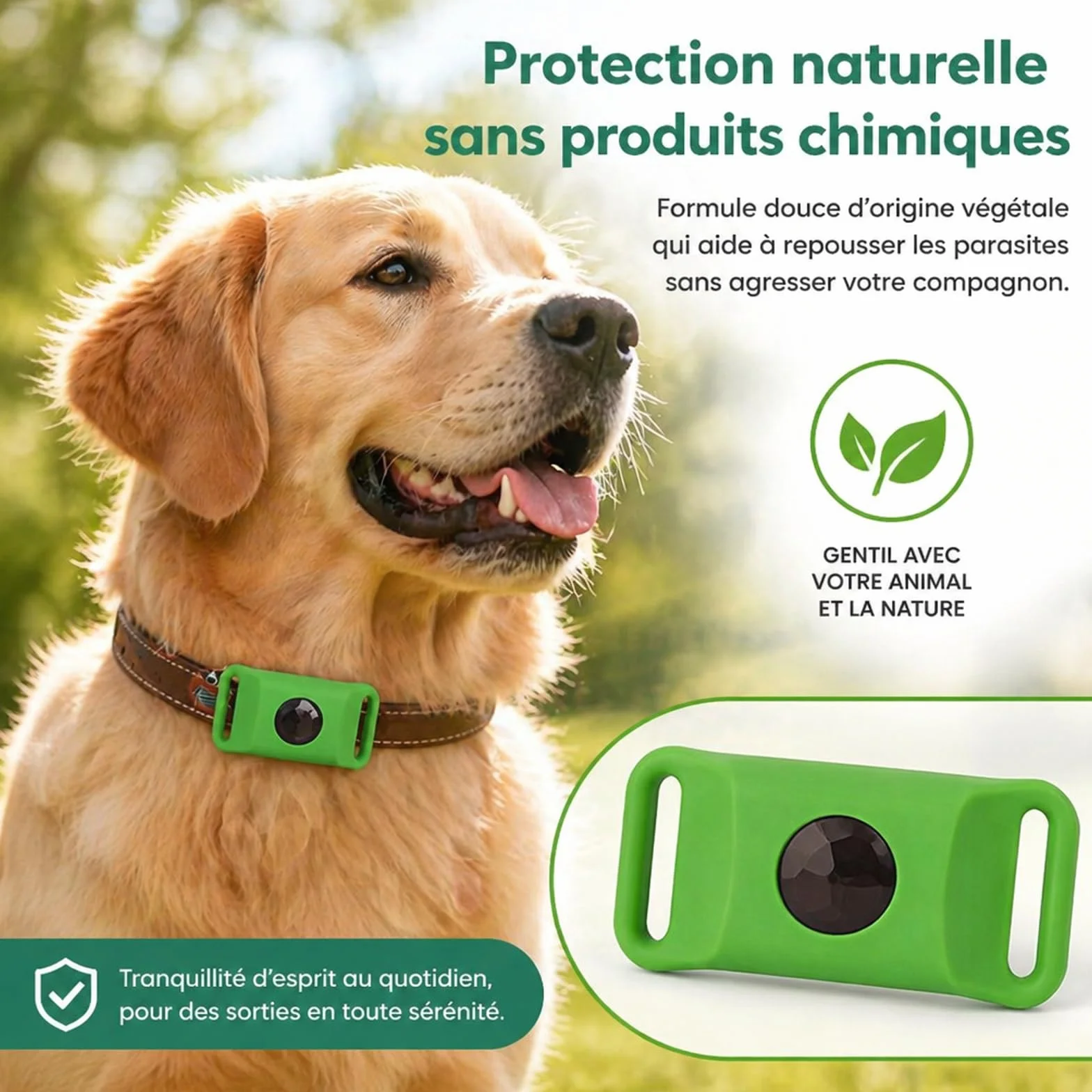 Pendentif Everly Chien - Nouveau Pendentif antiparasitaire Naturel pour Animaux 2026, Médaille de Collier Longue durée pour Une Protection Quotidienne, conçu pour Le Confort des promenades (Green)