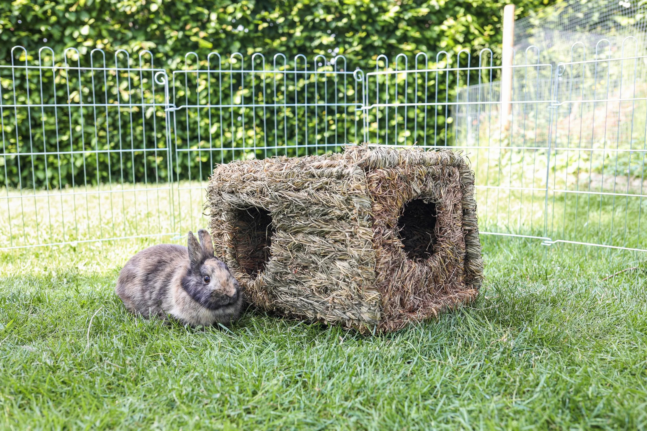 Kerbl 82789 Petits Animaux Maison d'Herbe xl 37x30x28 cm