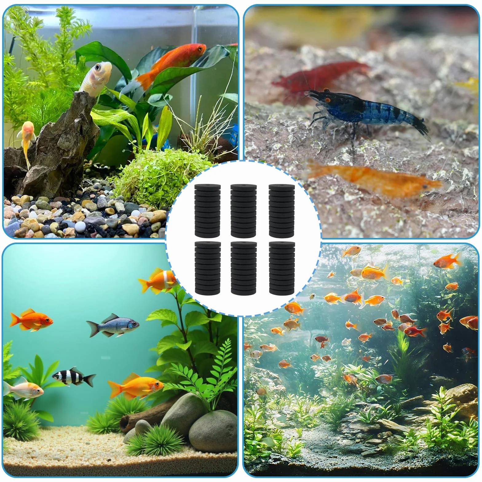 Filtres en Éponge pour Aquarium 6 Pièces, Filtration Biologique et Mécanique, Mousse Silencieuse