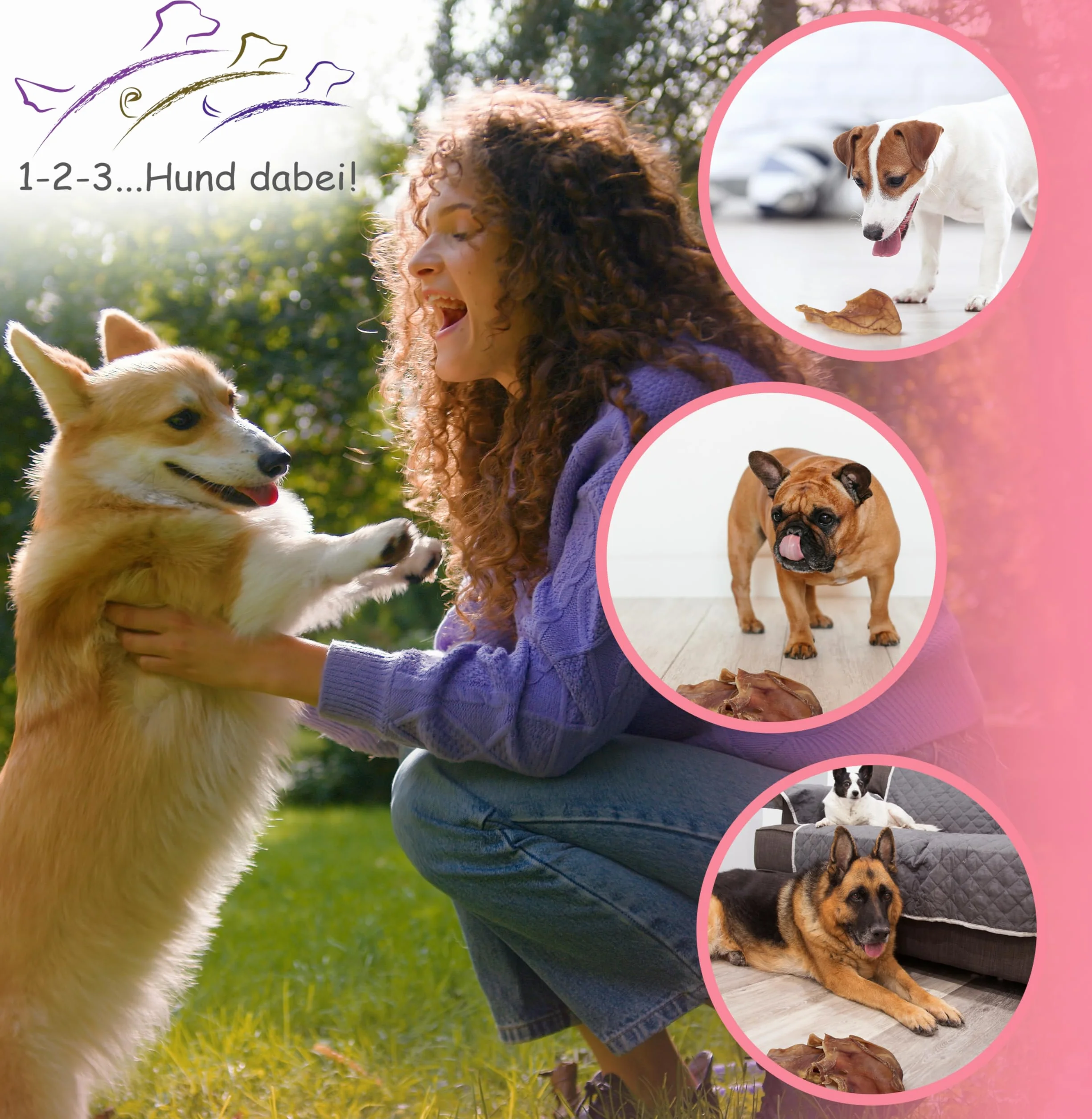 Oreilles de porc séchées naturelles pour chiens – 100 % pur plaisir de mastication, séchage à l'air libre, sans additifs – Friandise idéale pour le nettoyage des dents (100 pièces)
