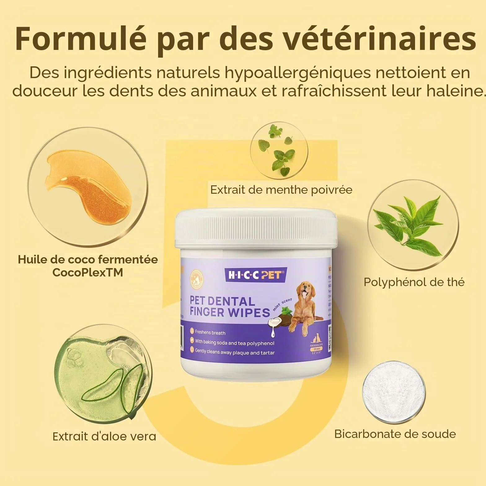 HICC PET Serviettes de nettoyage des dents pour chiens et chats, Enlevez la mauvaise haleine, Brosse à dents à doigts sans rinçage (Minte)