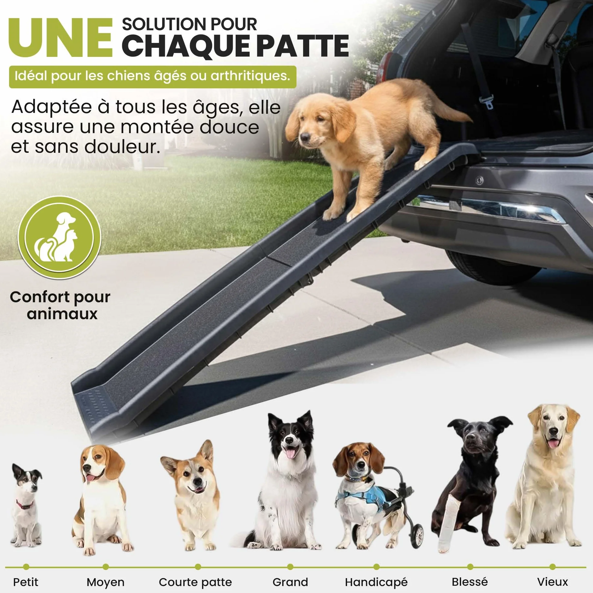 all Pets United® Rampe pour Chien et Chat Pliable Aide à l'entrée dans Le Coffre Escalier pour Animaux domestiques pour Grands et Petits Animaux (Rampe)