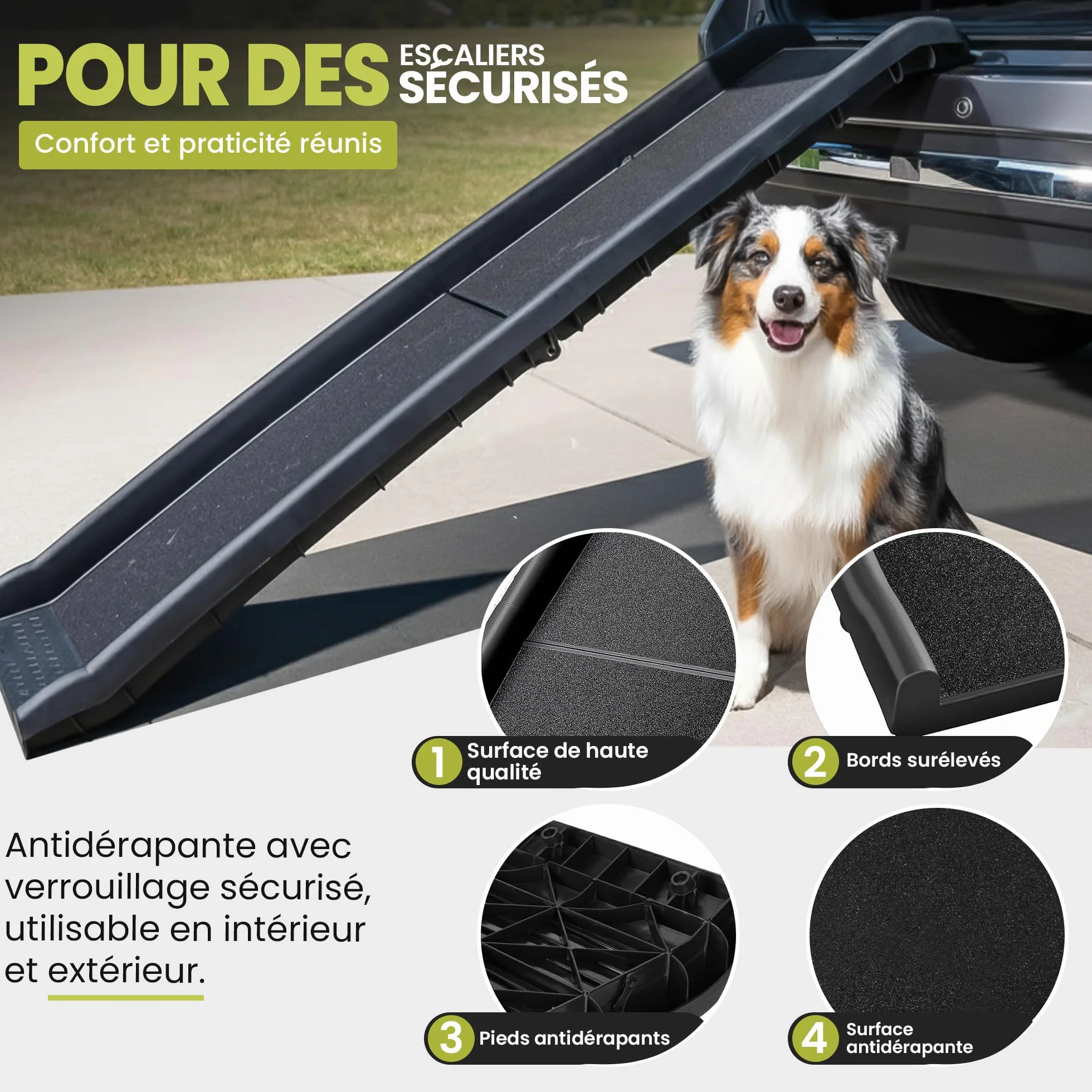 all Pets United® Rampe pour Chien et Chat Pliable Aide à l'entrée dans Le Coffre Escalier pour Animaux domestiques pour Grands et Petits Animaux (Rampe)