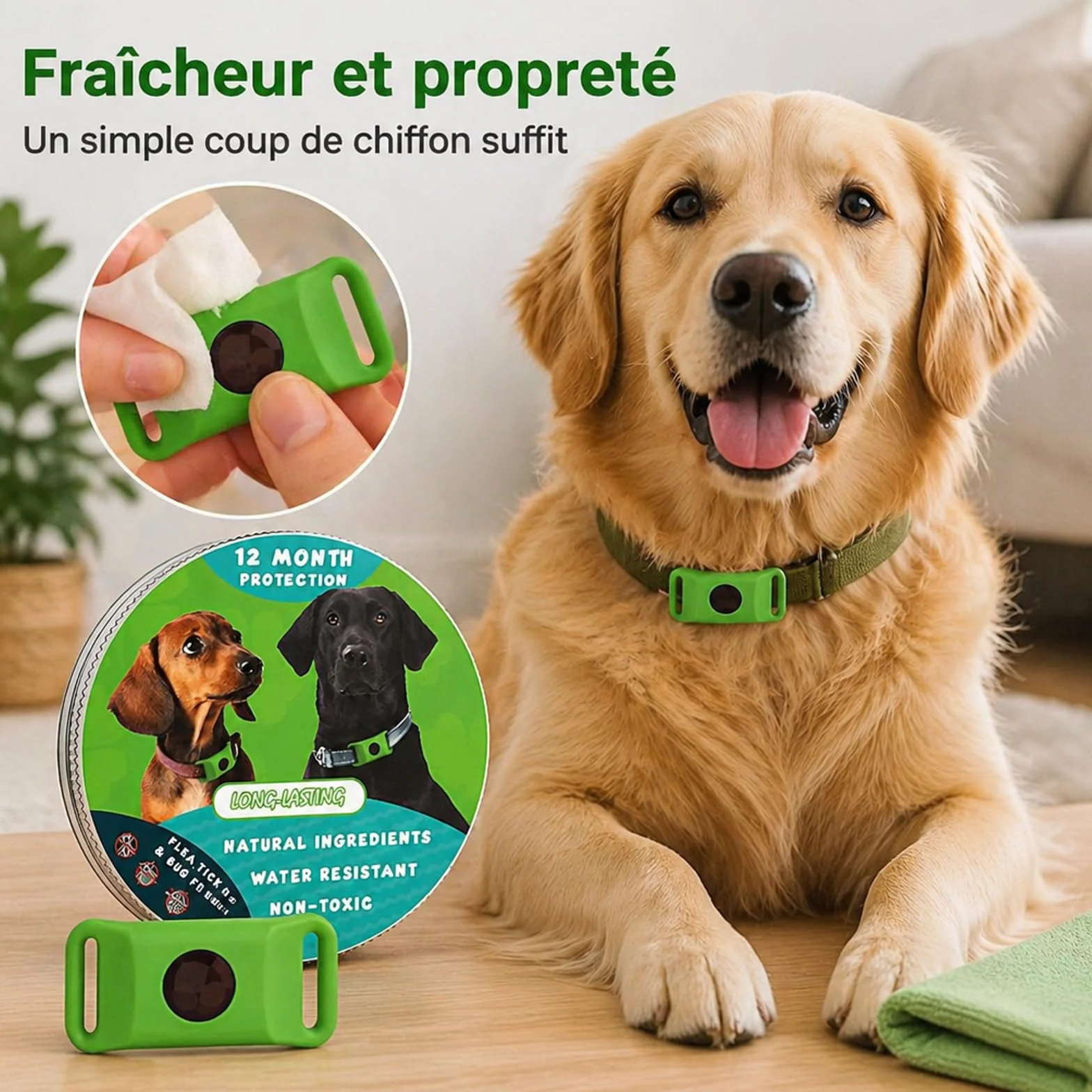 Pendentif Everly Chien - Nouveau Pendentif antiparasitaire Naturel pour Animaux 2026, Médaille de Collier Longue durée pour Une Protection Quotidienne, conçu pour Le Confort des promenades (Green)