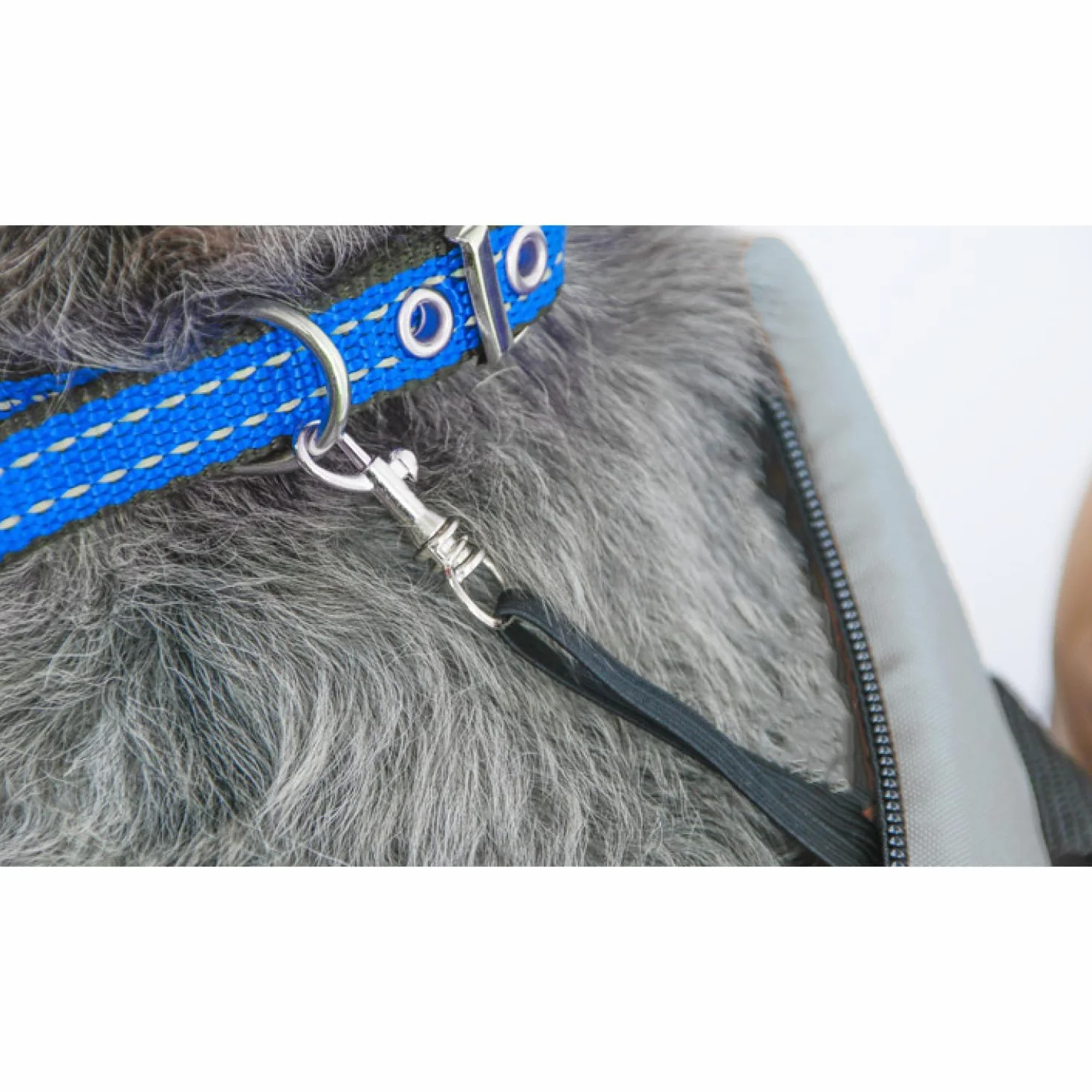 Sac de Transport pour Chiens et Chats, Sac à bandoulière pour Animaux domestiques, Sac pour Chiens de Petite Taille, Sac de Transport léger pour Chiens, Sac pour Chats