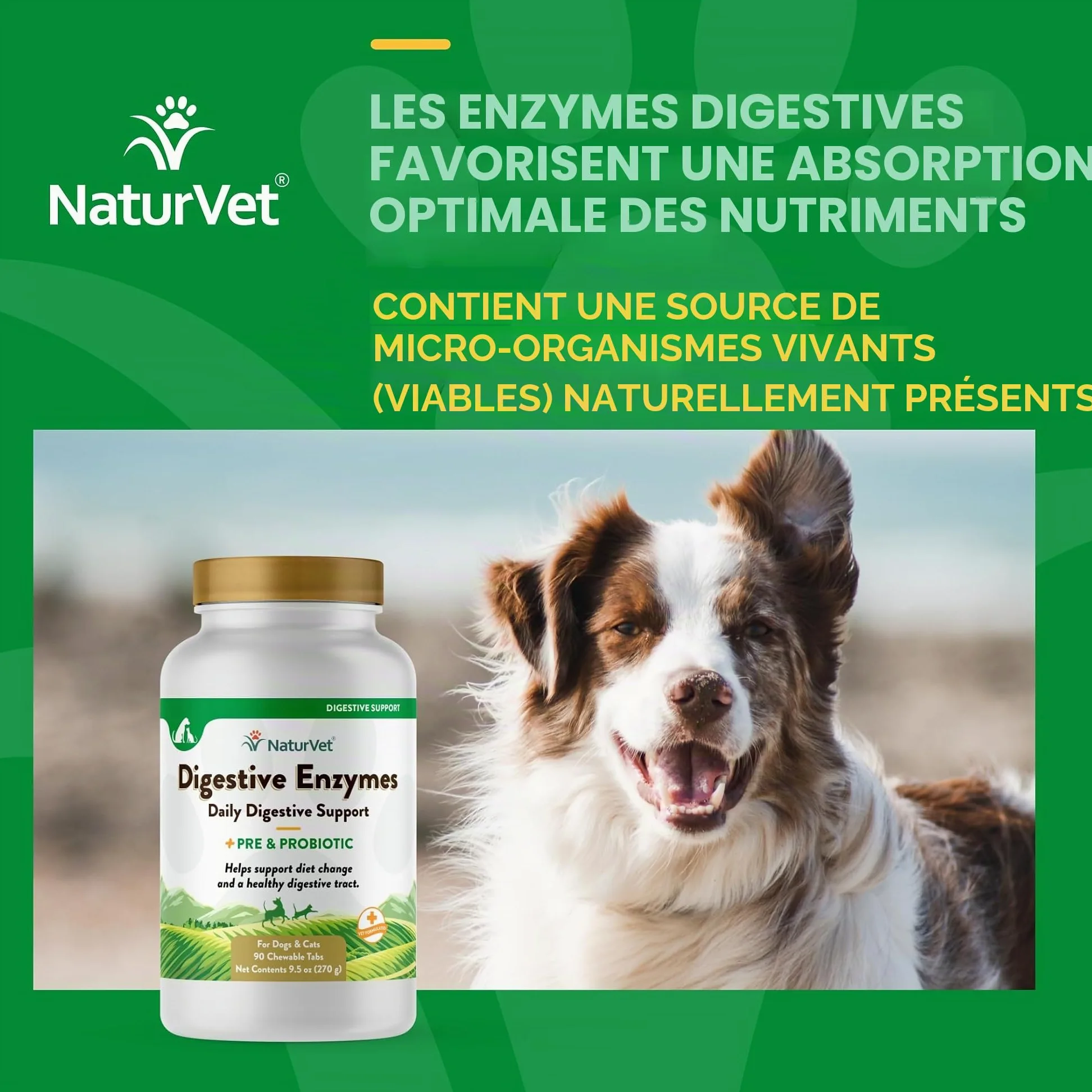 NaturVet Digestive Enzymes Plus Probiotiques Complément Alimentaire pour Chiens, à mâcher Doux, fabriqué aux États-Unis avec des ingrédients d'origine Mondiale 90 pièces