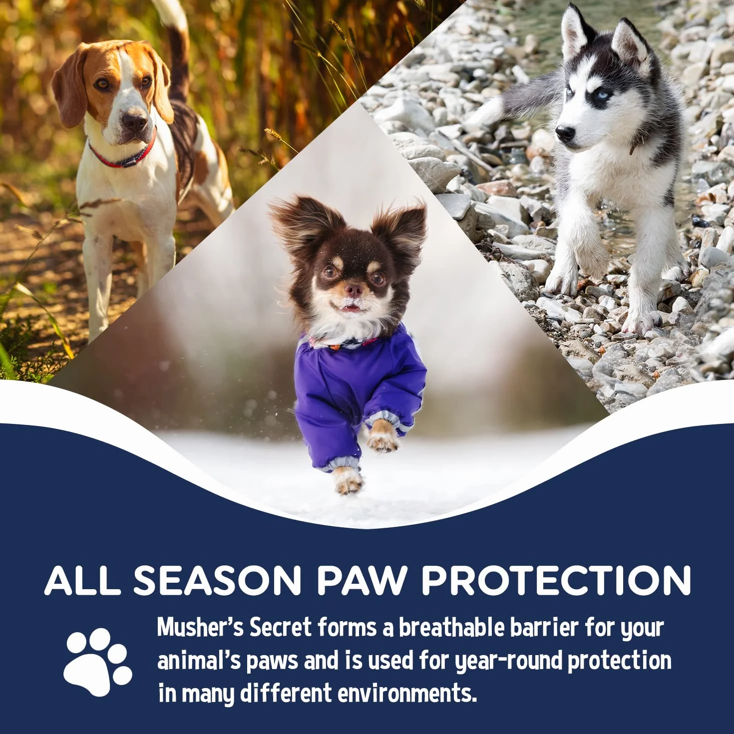 Musher's Secret Baume Coussinets Chien Protection Anti-Sel Neige 200g
