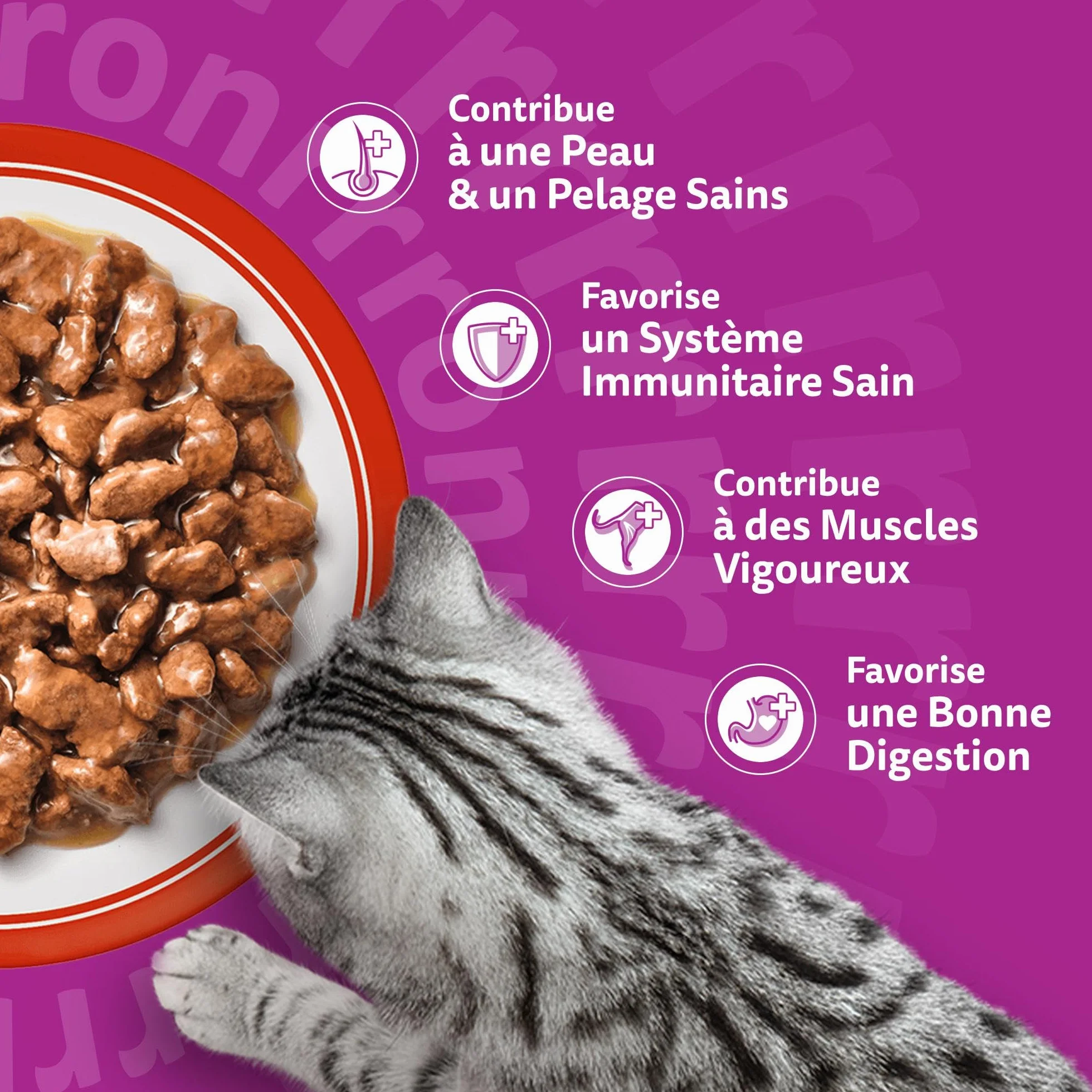 WHISKAS Aliment humide en sauce Chat adulte 84x85g Les Repas Classiques