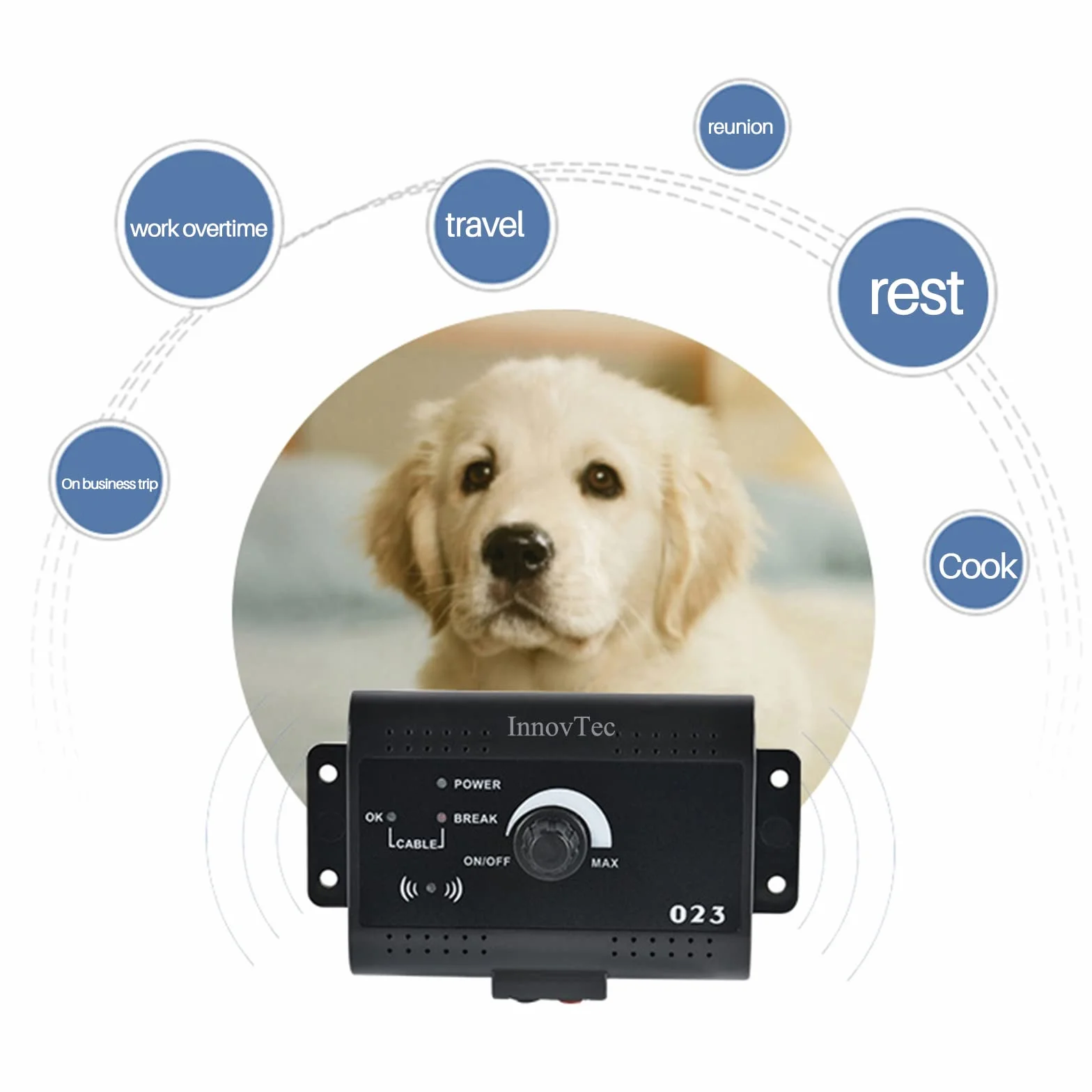 InnovTec Clôture Électrique pour Animaux avec Collier Imperméable Anti-Fugue et 300m de Fil